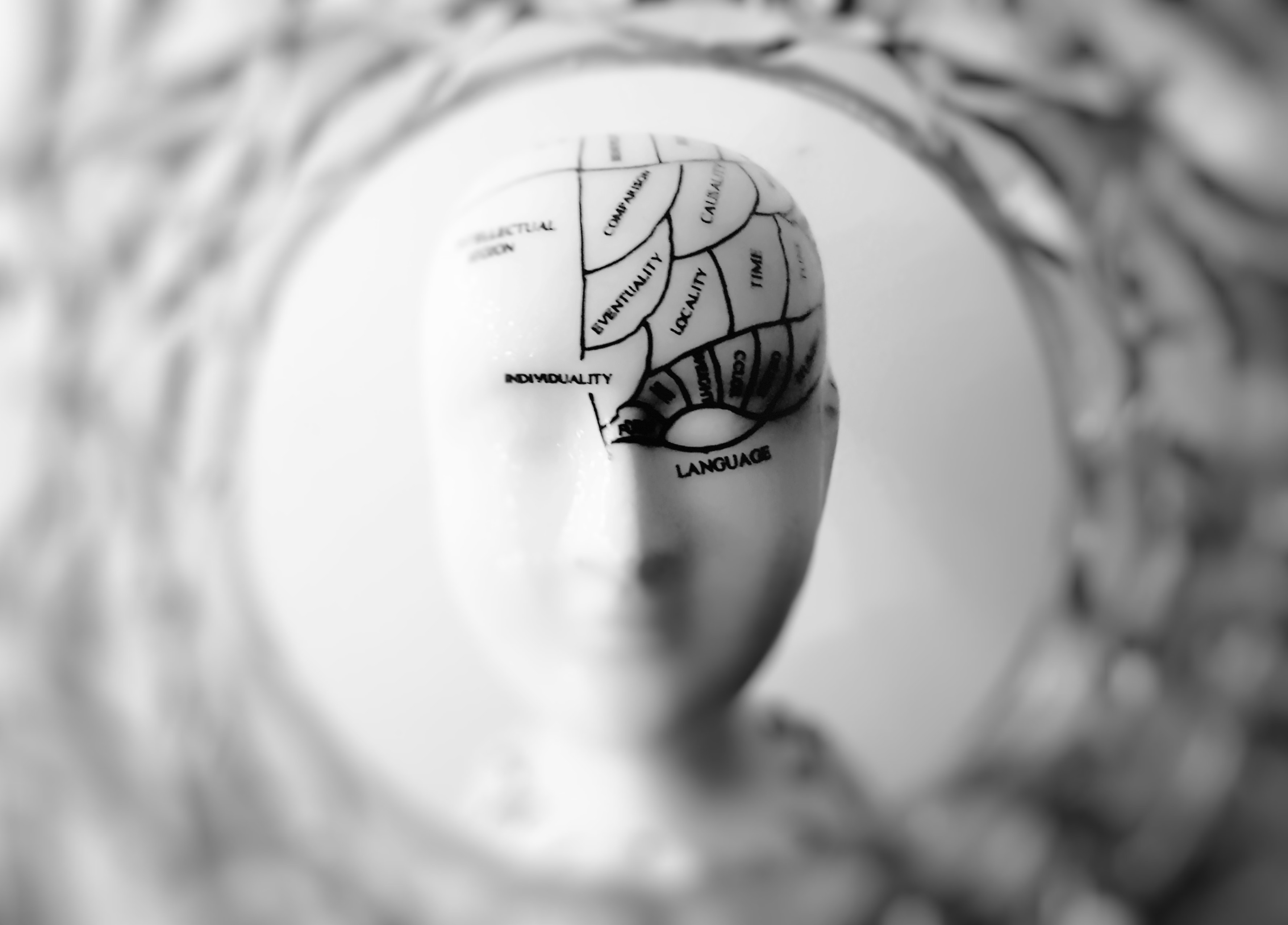 How our brain chemicals drive our behaviour