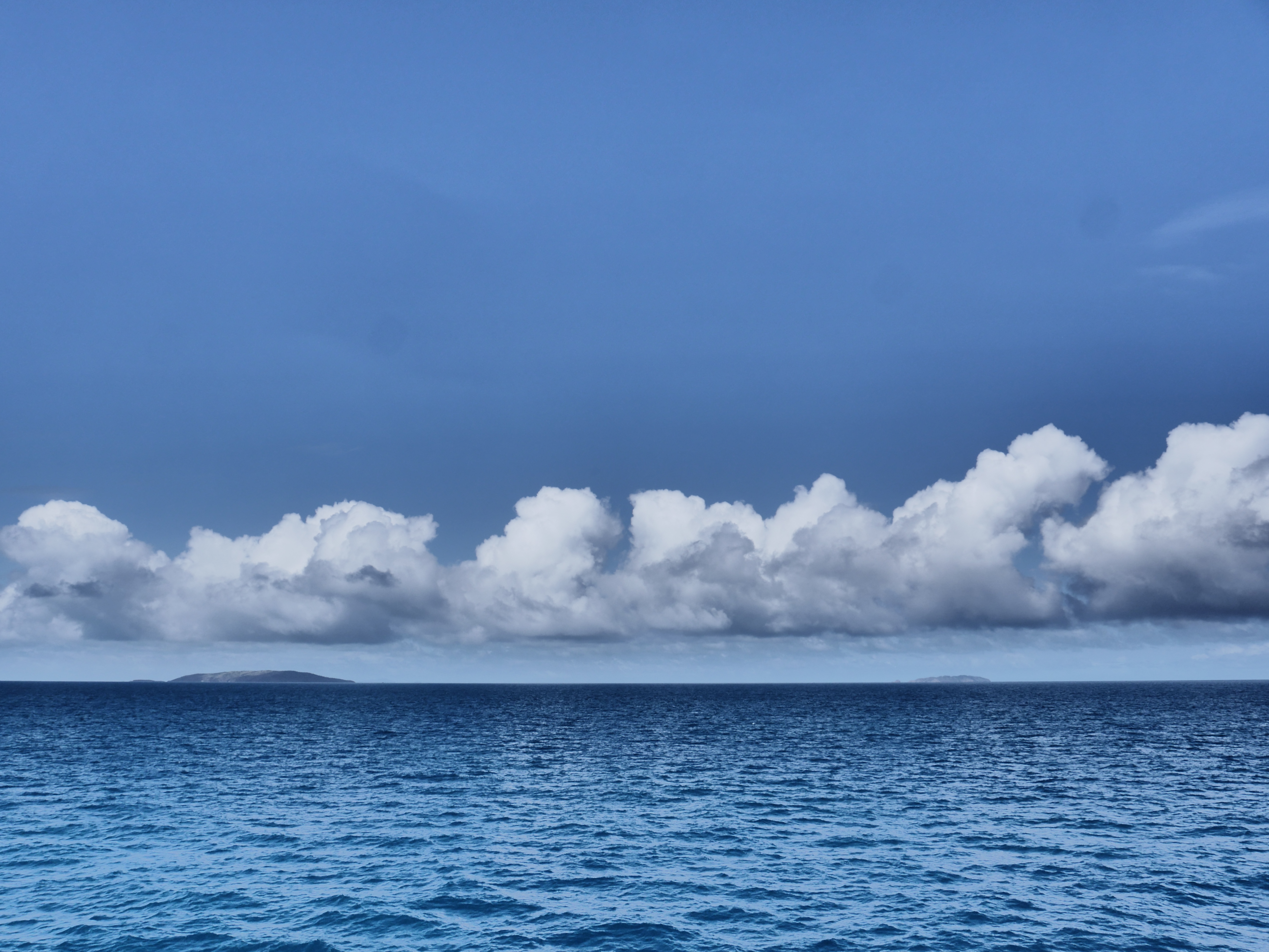 Microbes connect the earth, sea and sky
