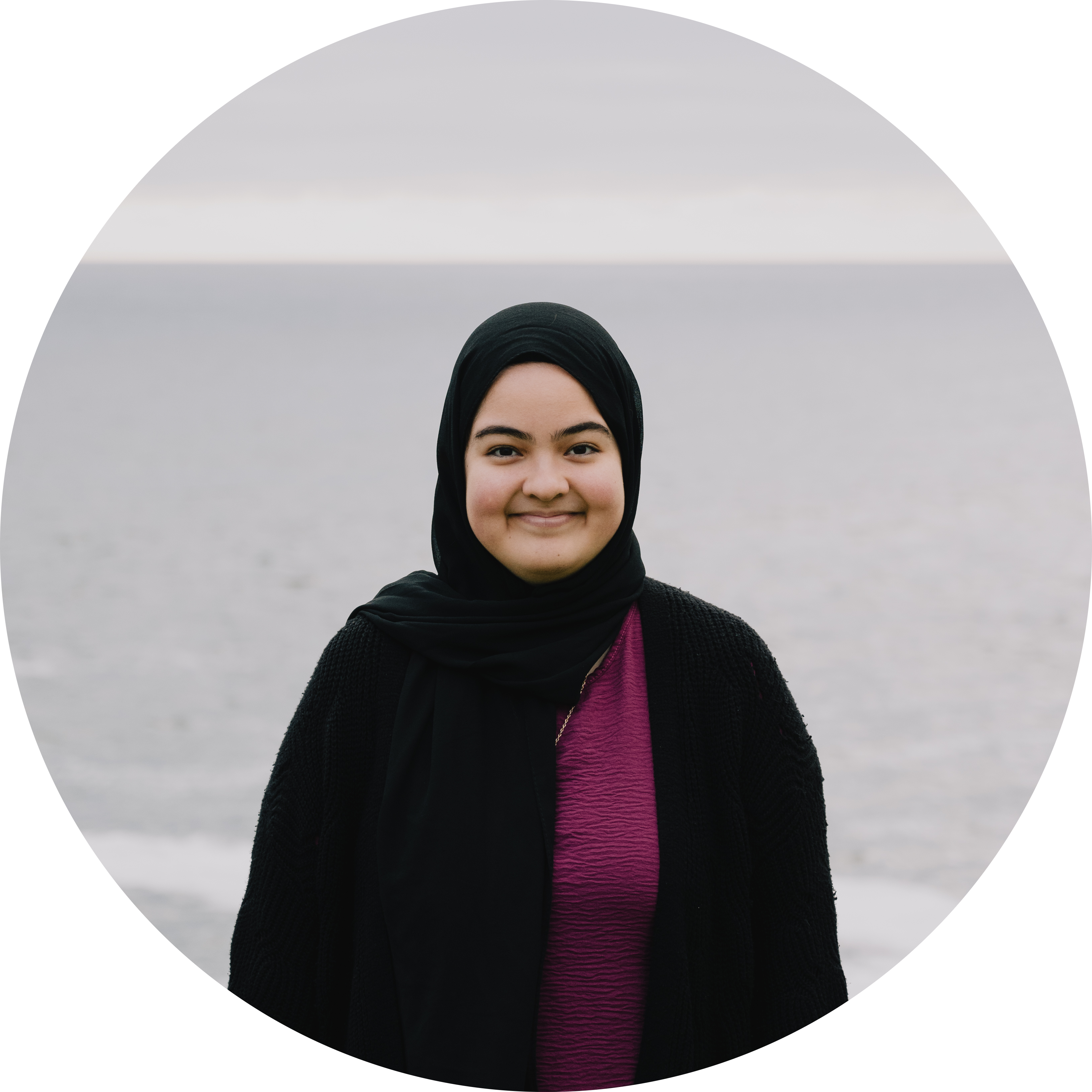 Go to the profile of Elaheh Khazi