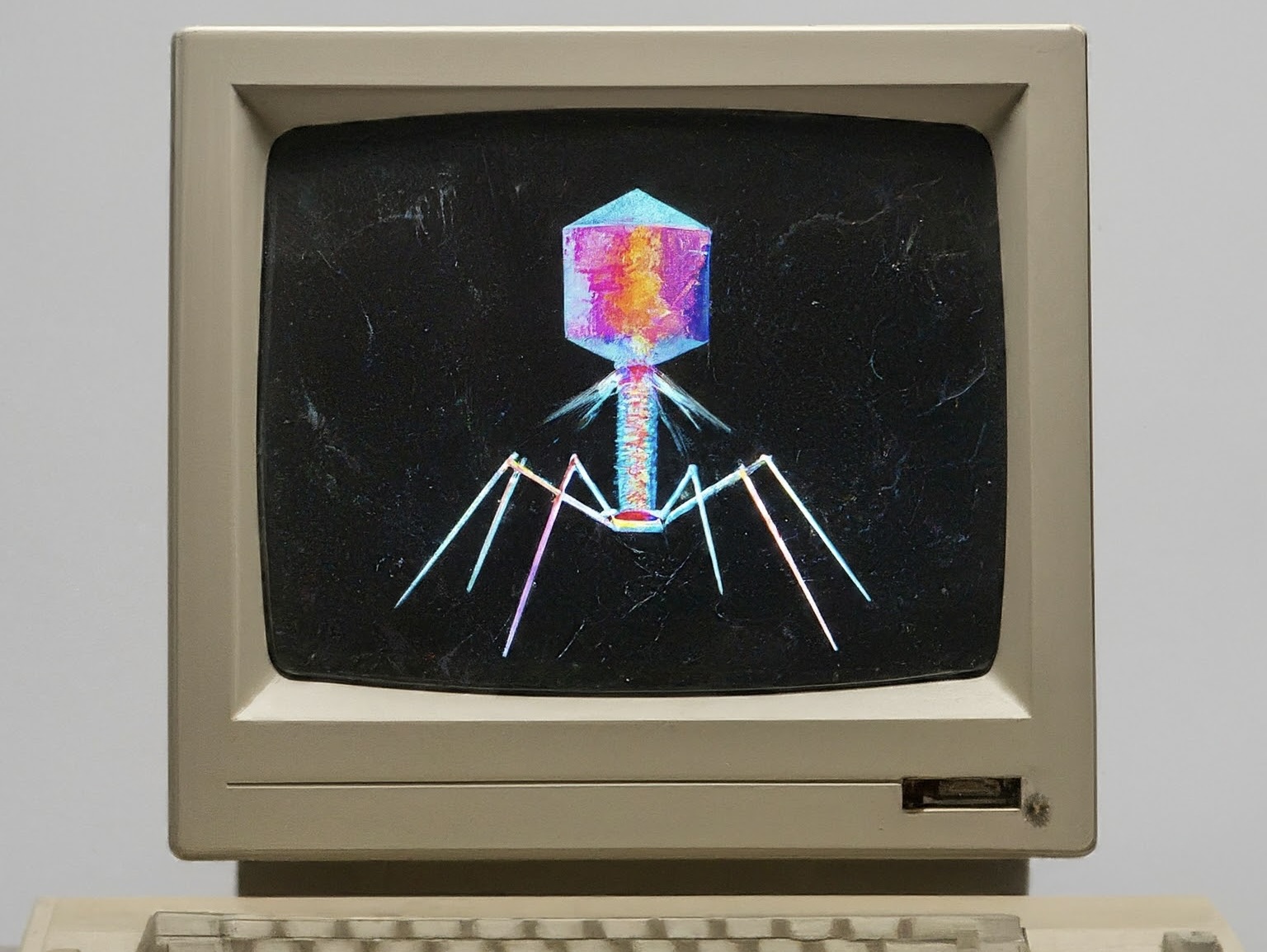 Finding phages that infect bacteria with AI