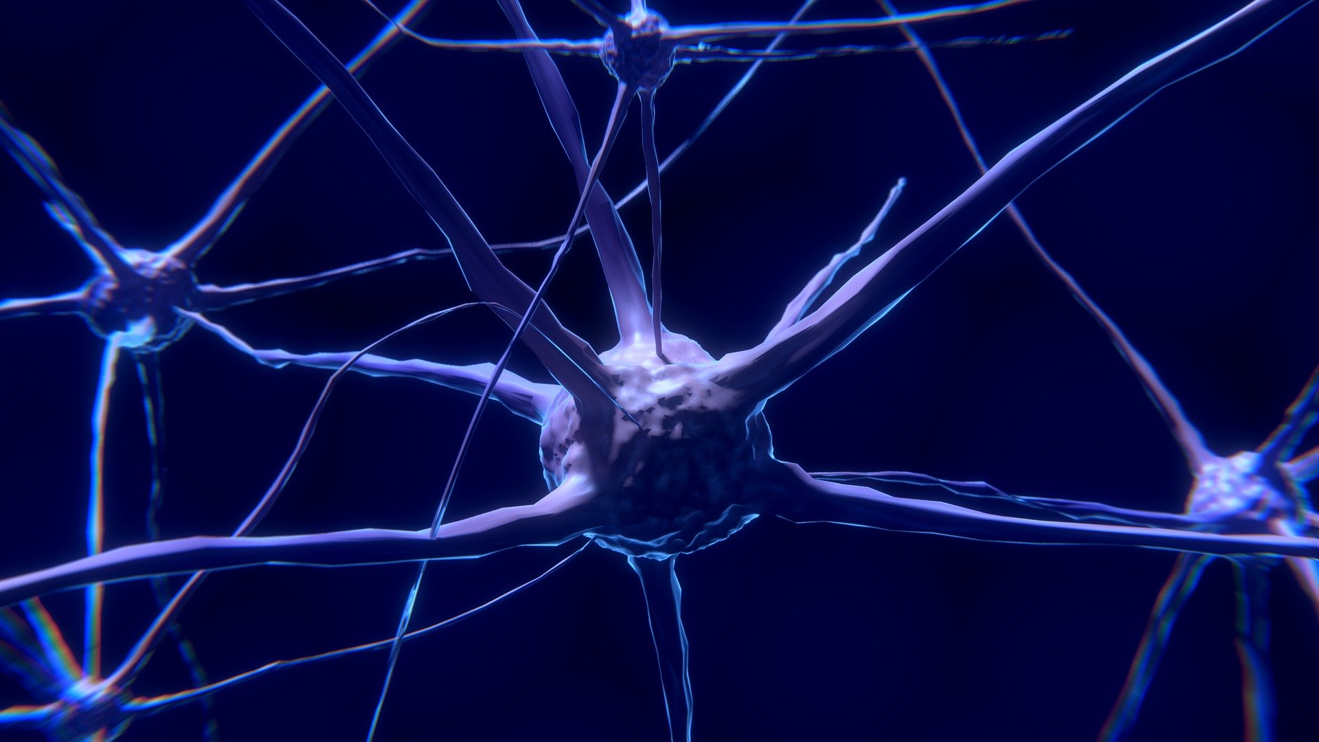 World Brain Day 2021:  Aim to Stop Multiple Sclerosis 
