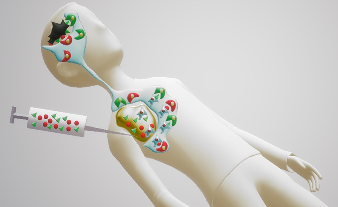 A VEGF receptor vaccine demonstrates preliminary efficacy in Neurofibromatosis type 2.