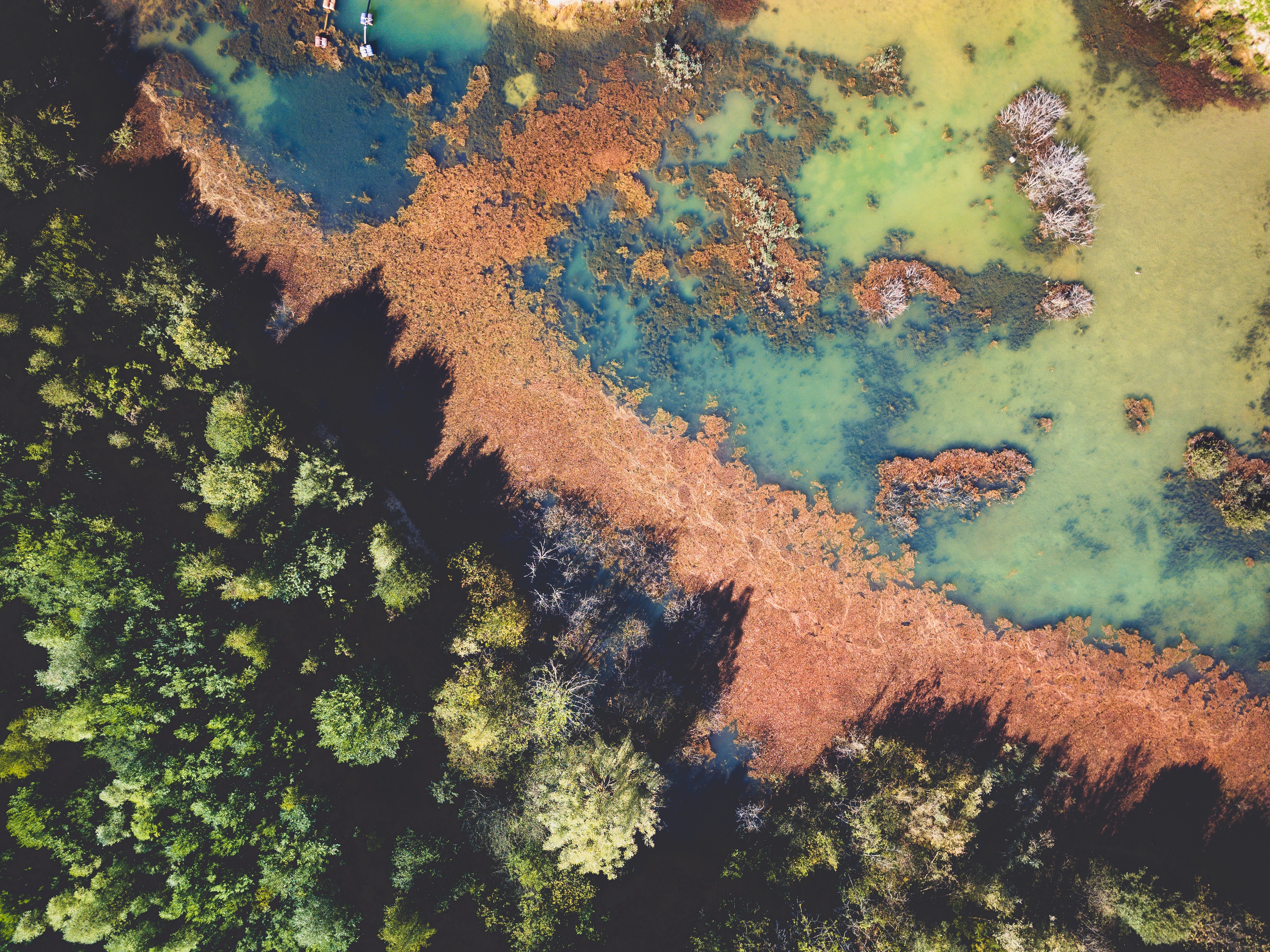 Digital Forum: Finance for nature