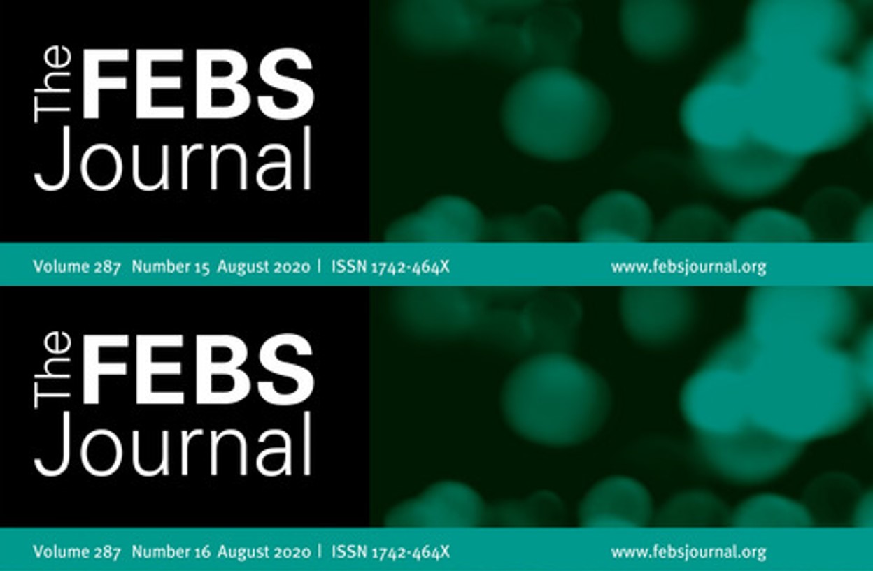 The FEBS Journal: Editor Profiles