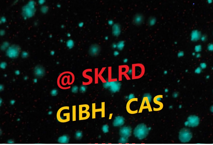 Go to the profile of Tianyu Zhang