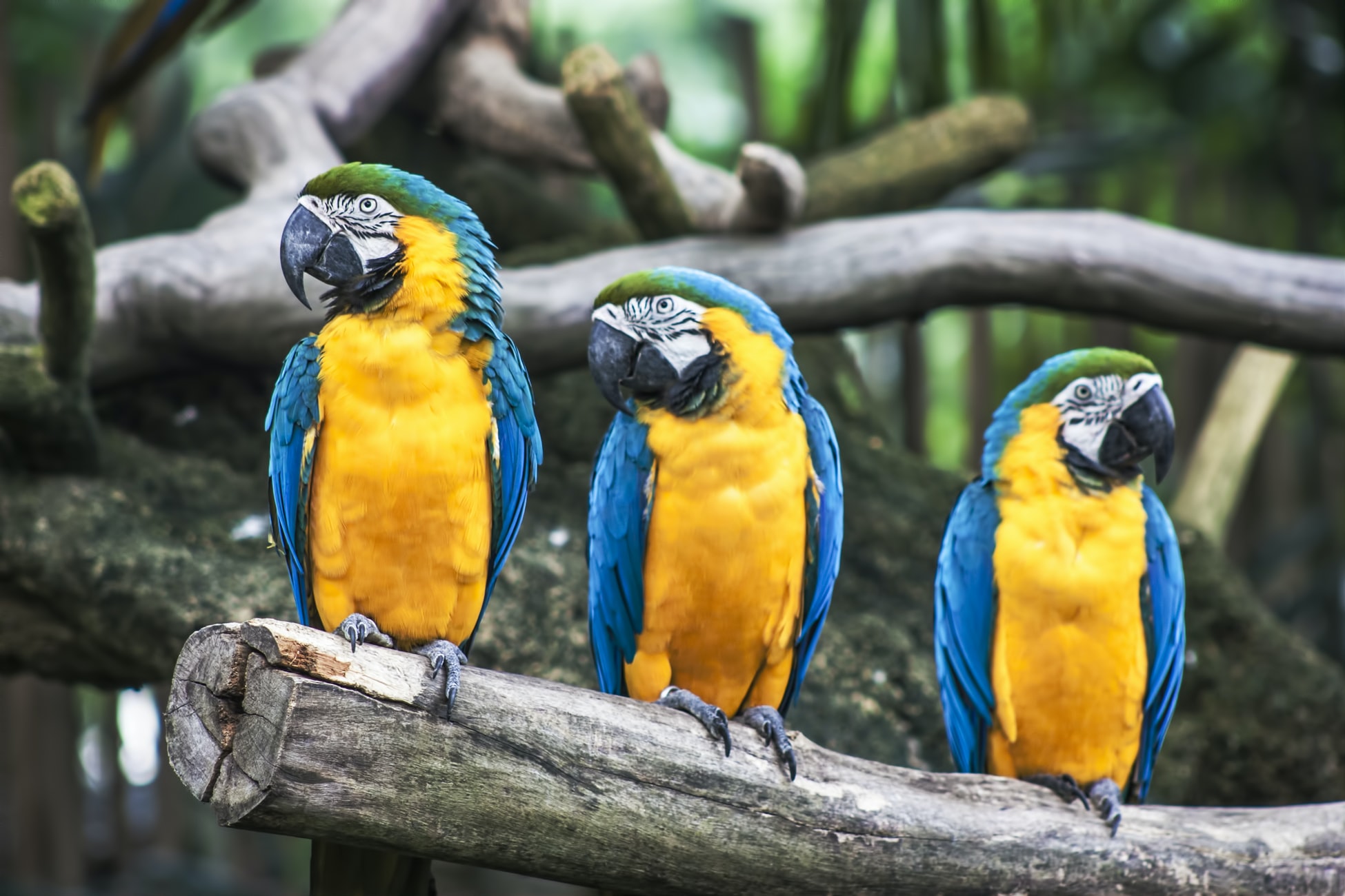 June 2020 newsletter