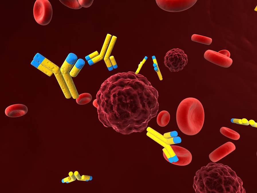 Enabling the patient's body to synthesize its own anti-cancer drug