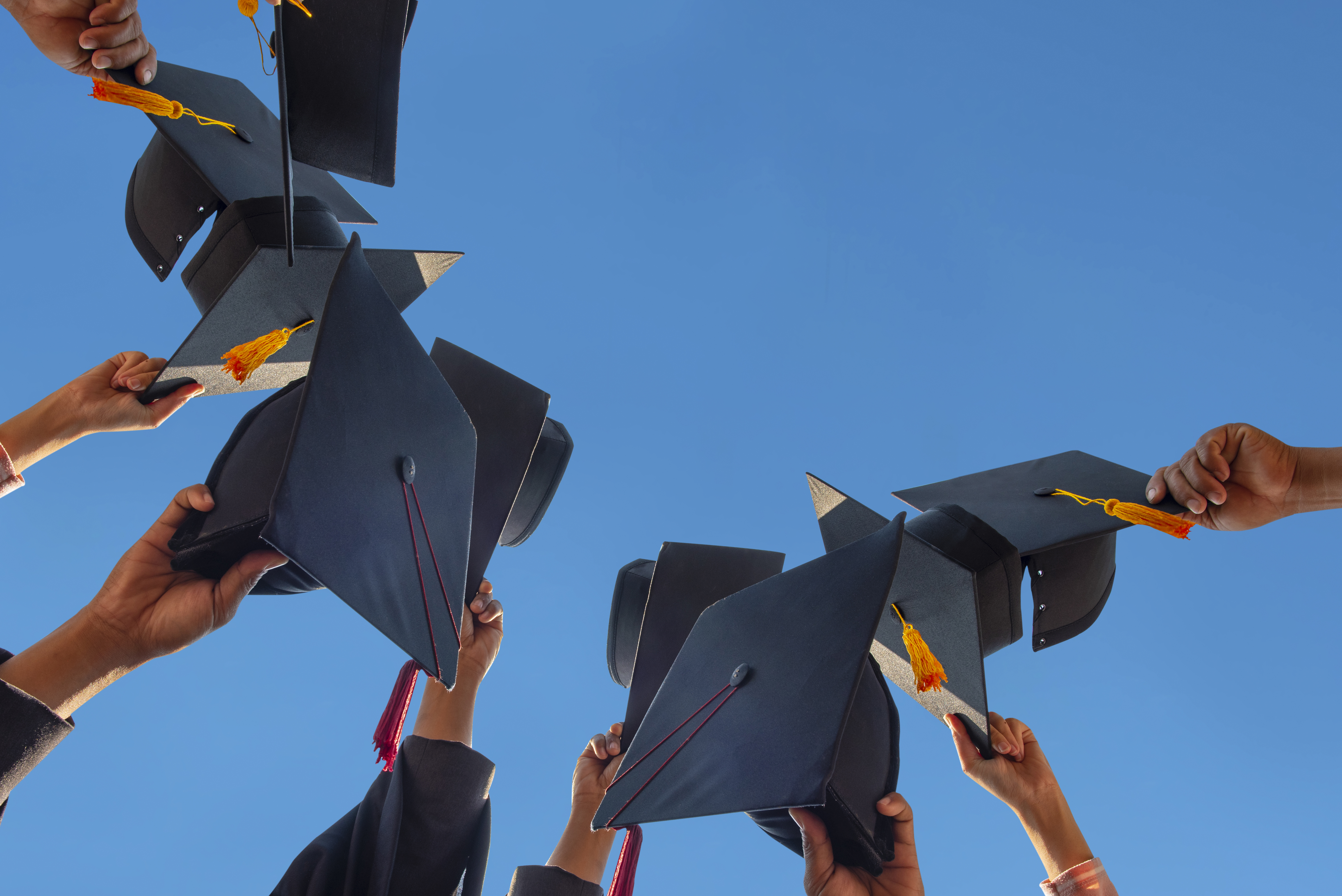 Bolsas de estudos para estudantes AV