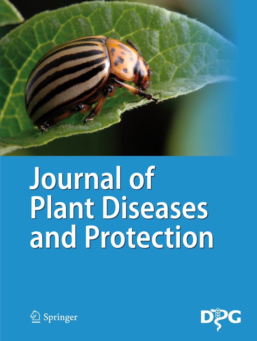 Making research more visual and accessible: JPDP’s new video summarieries
