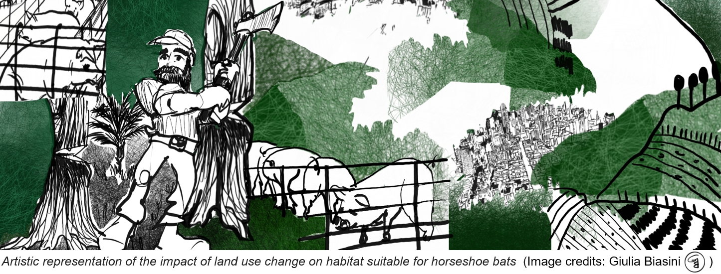 Land use change, unsustainable food production and the wild side of coronavirus