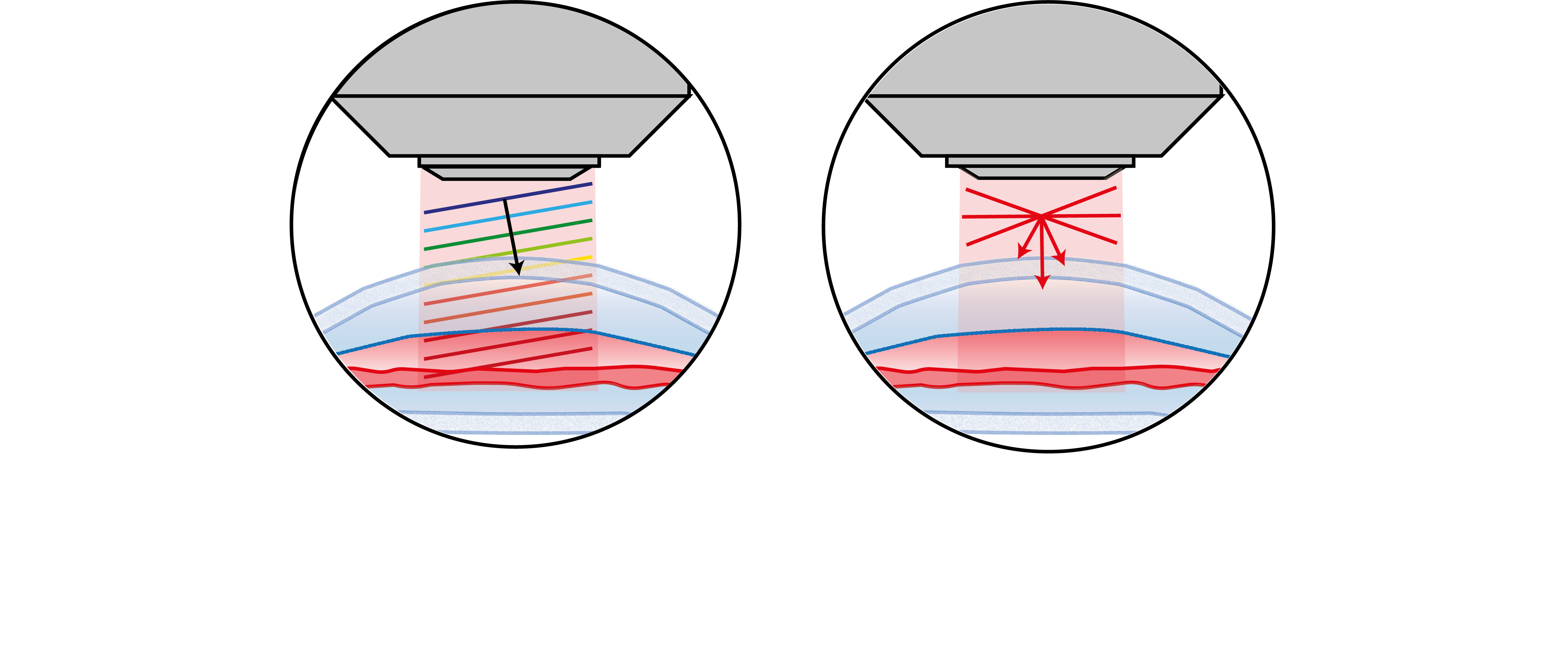 A paradigm shift for 3D optical imaging of biological tissues
