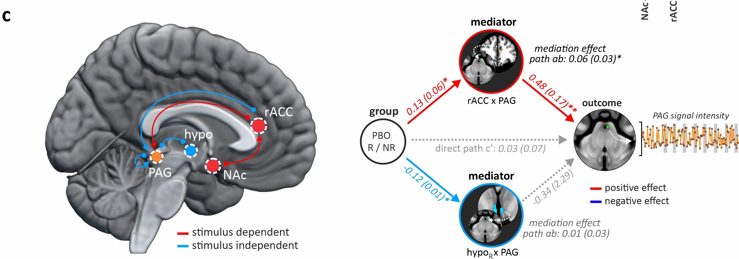 Brain networks of placebo analgesia 