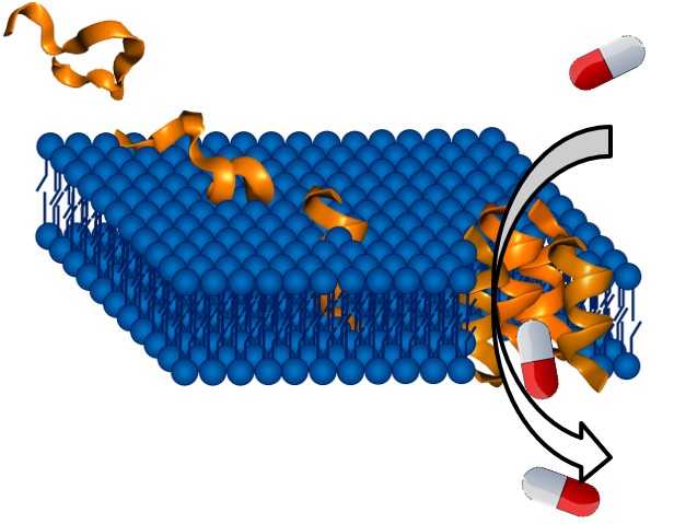 Rationally designing a biomimetic peptide to target tuberculosis bacteria