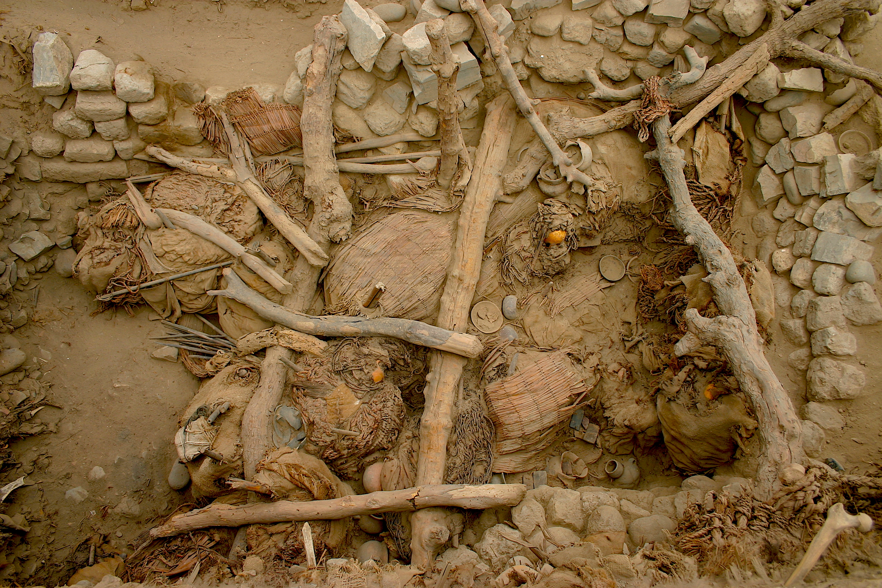 Feathers of the Rainforest: Tracing the Pre-Inca Trade of Amazonian Parrots to the Peruvian Coast
