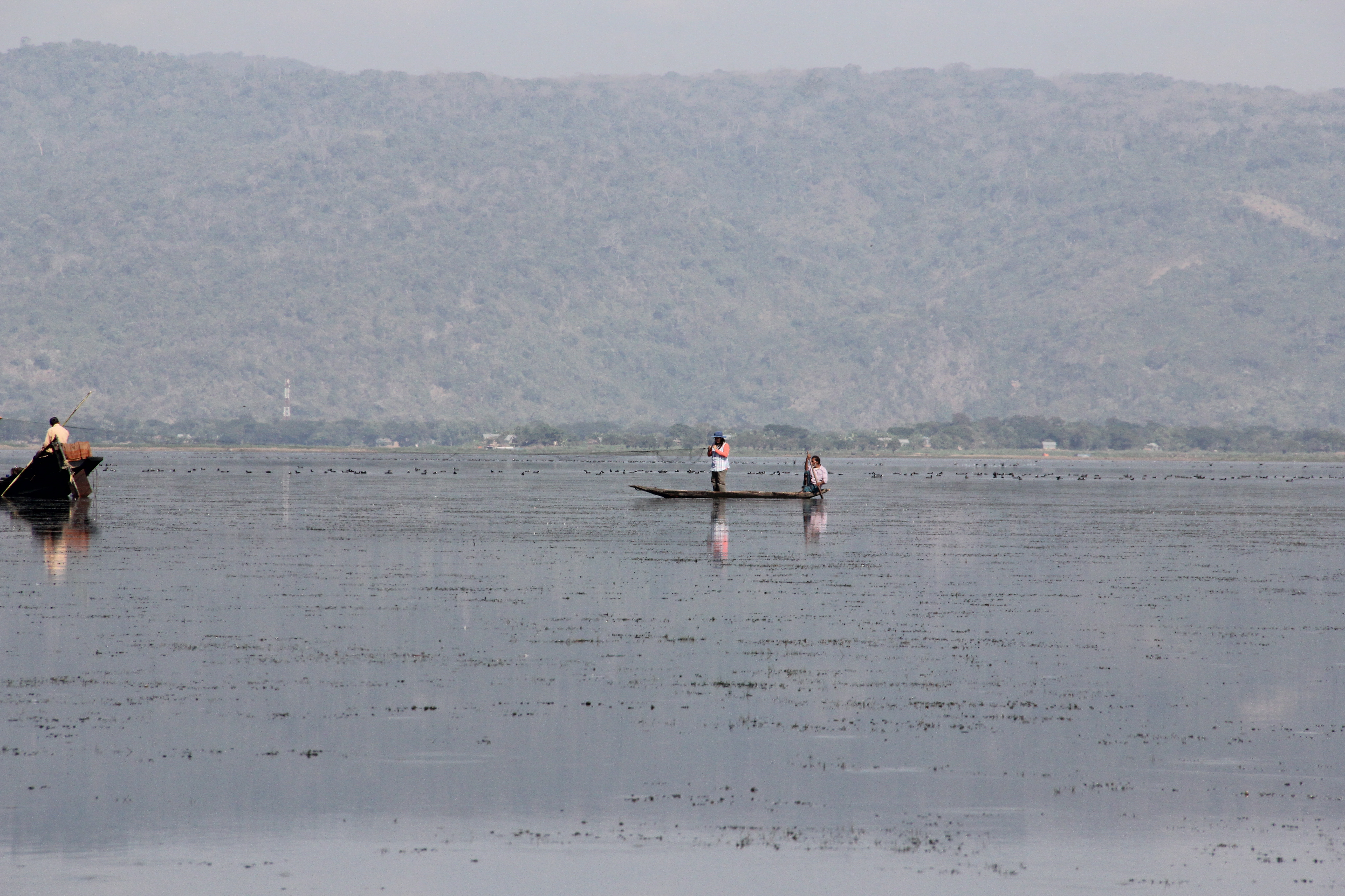 Paving the Way for Women in Conservation with Zenin Azmiri