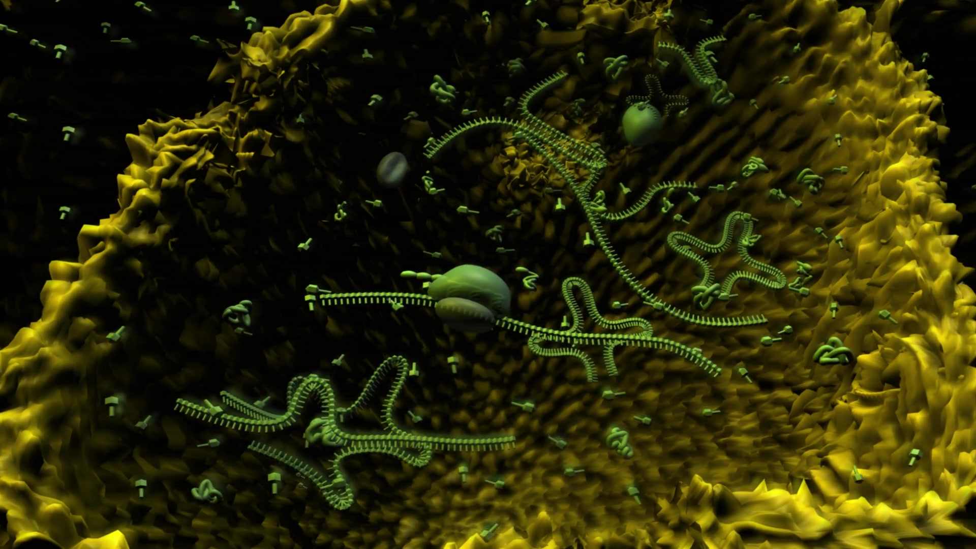How and where did the very first cells on Earth make a living? 