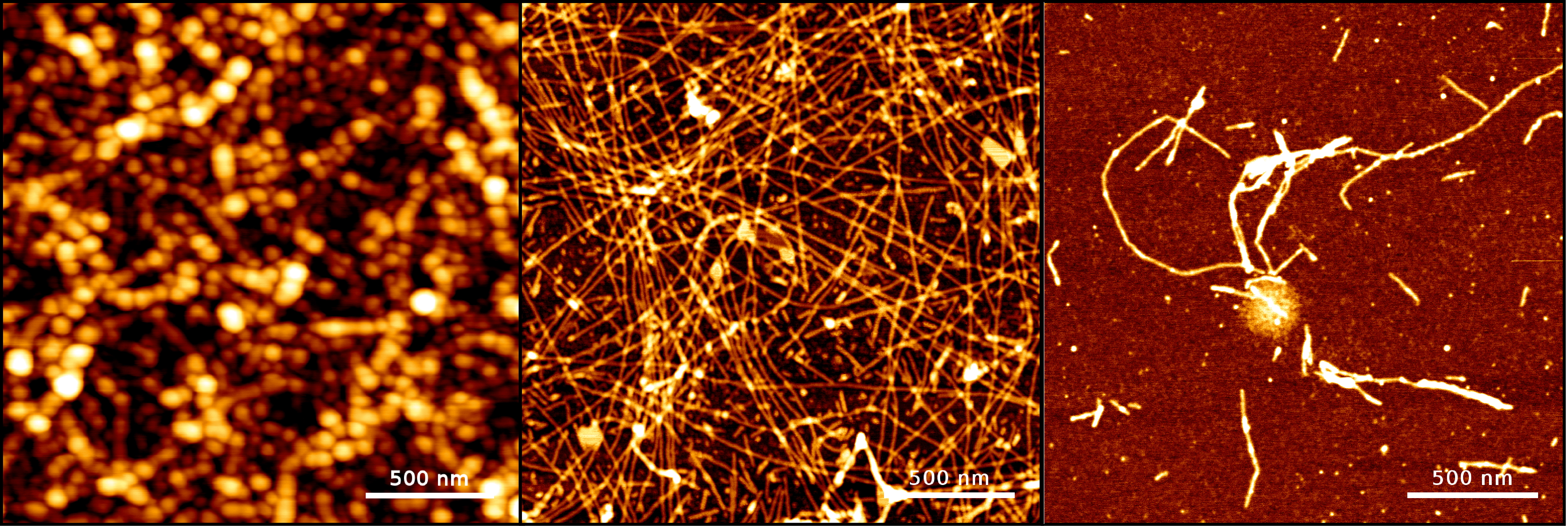 Protein nanofibril design via manipulation of hydrogen bonds