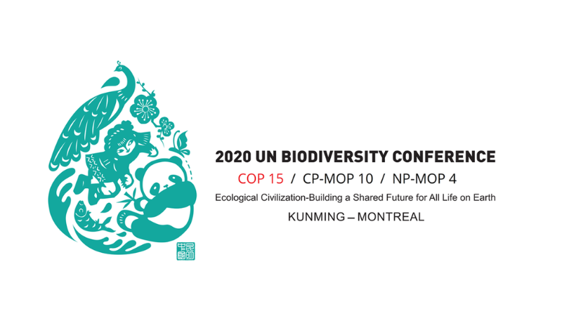 COP15 | The long road to the UN Biodiversity Conference: Q&A with James Watson