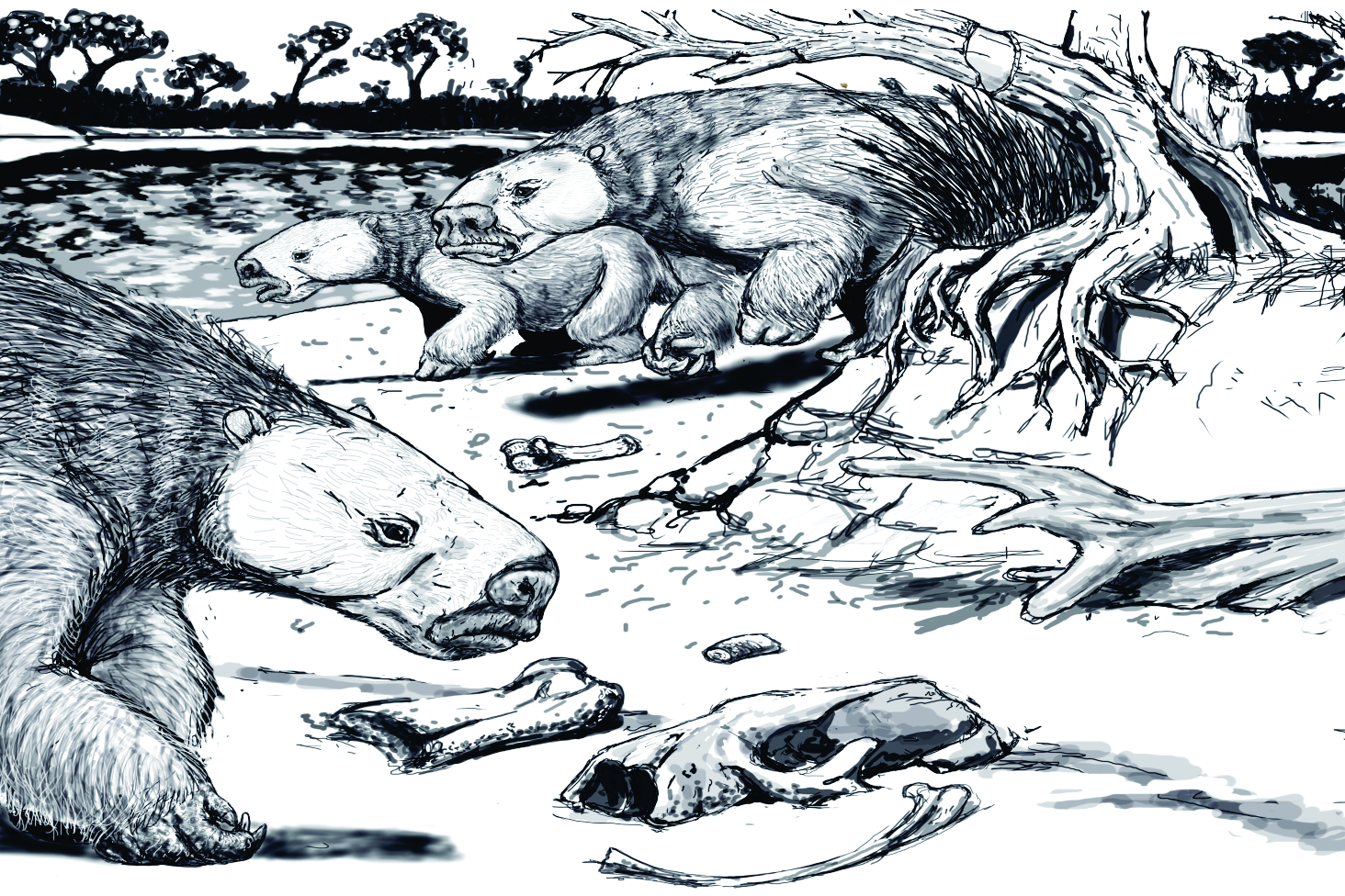 Preservation of a social group reflects gregarious habits in the Quaternary giant ground sloth Lestodon armatus