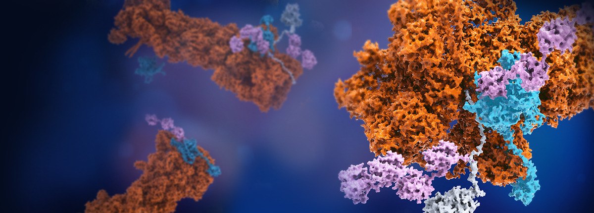 Visualizing nonequilibrium dynamics of macromolecular machines in atomic detail: an emerging paradigm that will innovate drug discovery