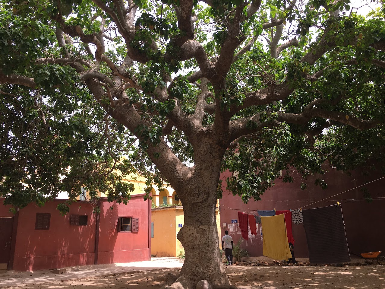 African Biodiversity Conservation must be Coupled with Development