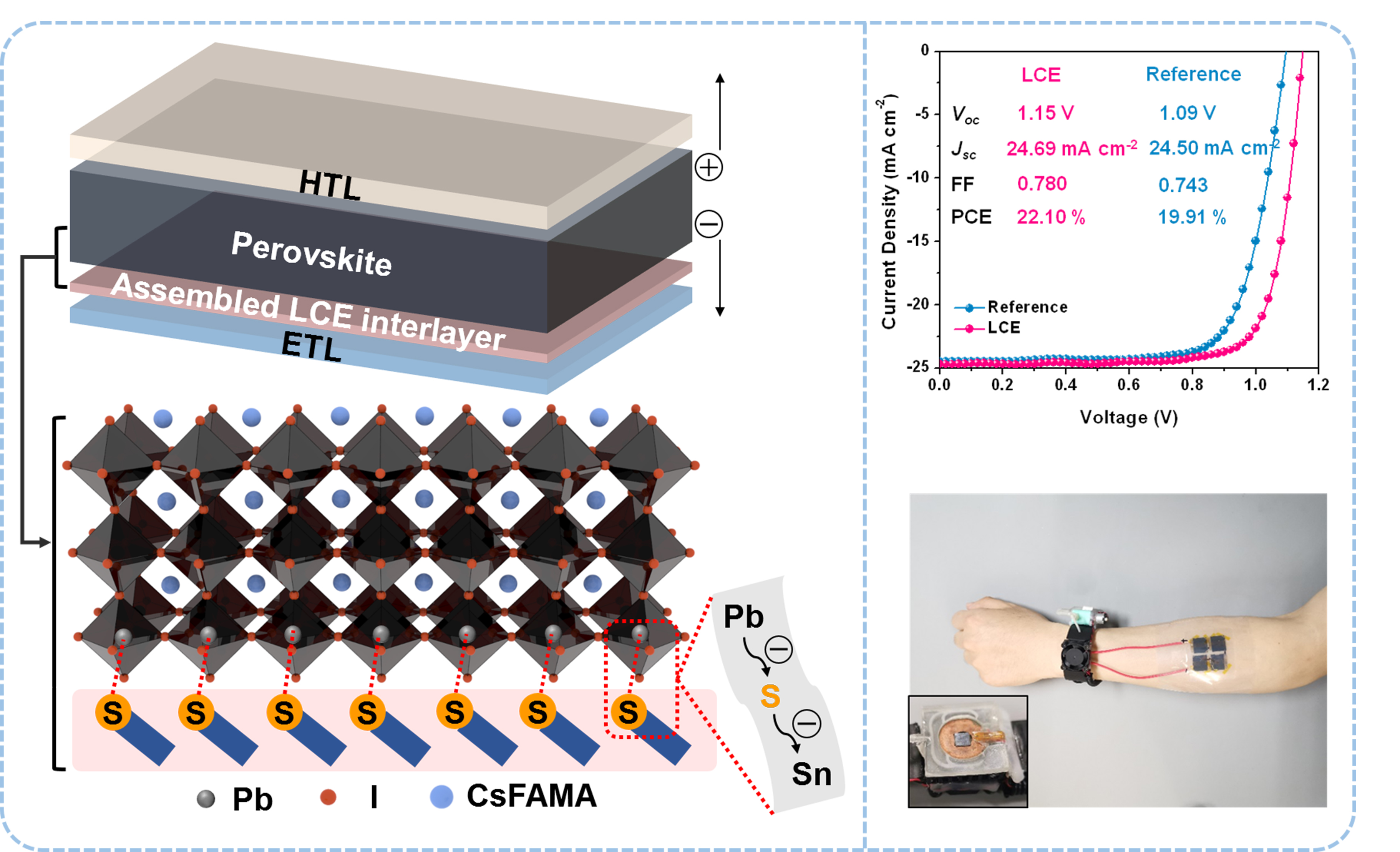 Wearable perovskite solar cells by aligned liquid crystal elastomers