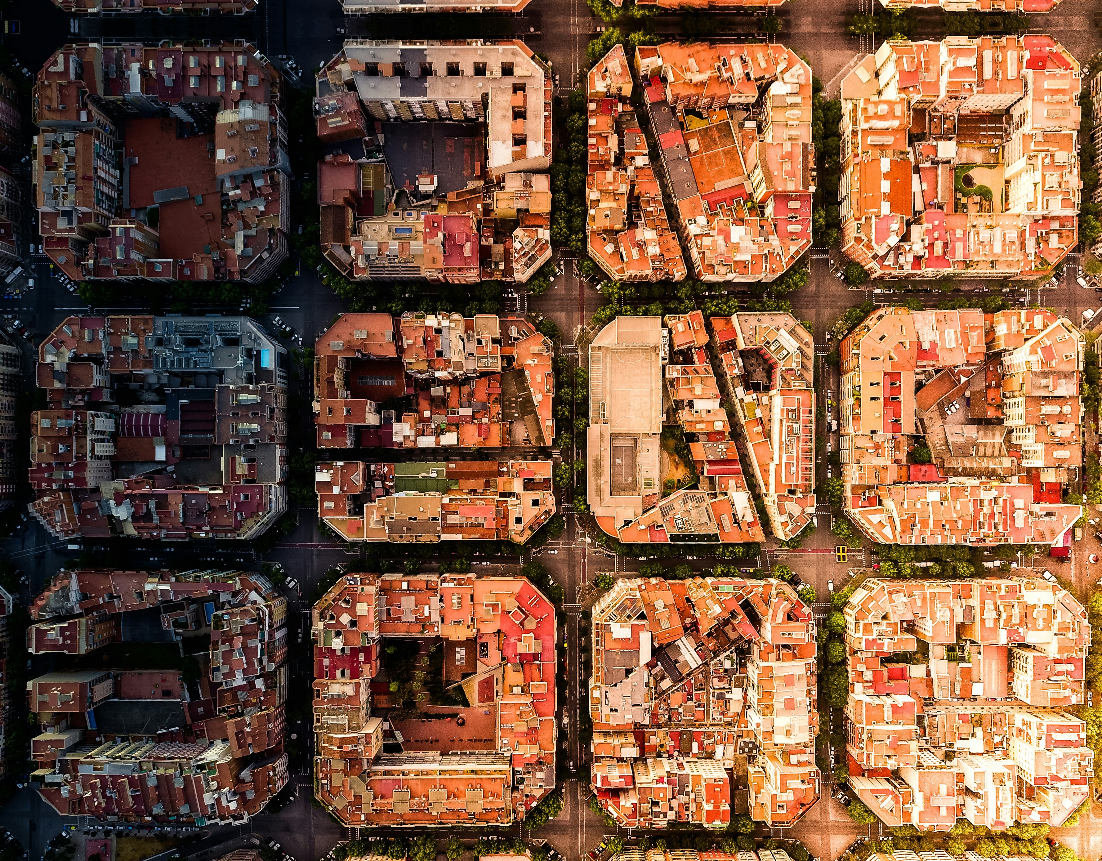 Different Worlds, Different Rights: Learning to Lead Without All the Answers