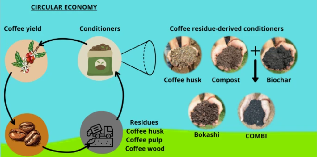 From Waste to Resource: Unlocking the Value of Coffee Residues for Healthier Soils