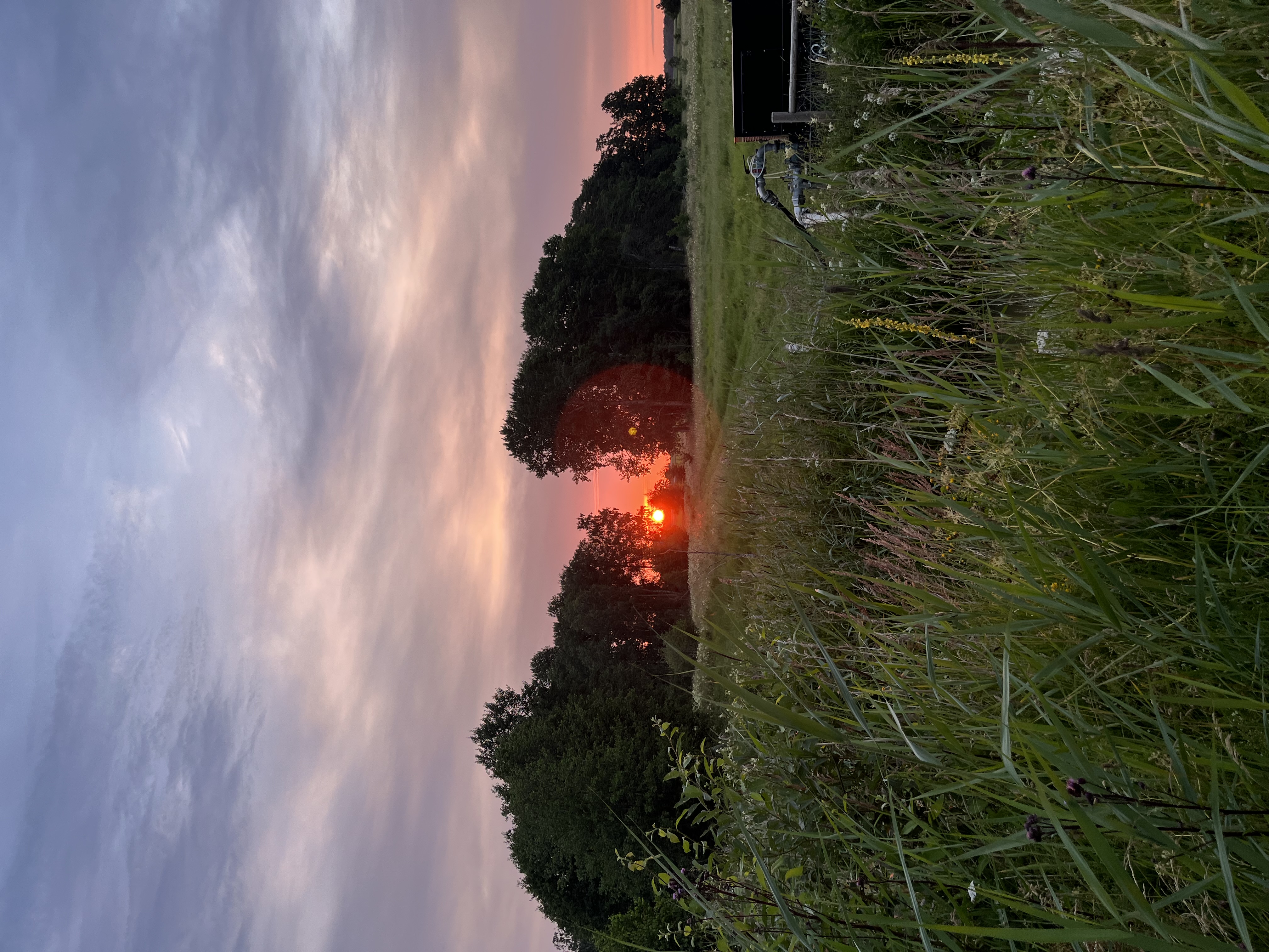 LiA Week 1: Sweden, swamps, and SÄSÅN.