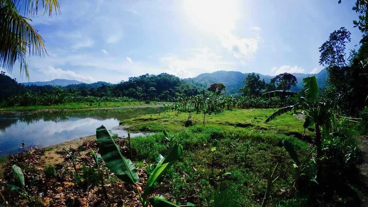 The medical ecological context of children