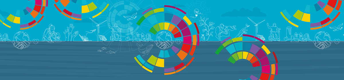 Journal Highlight: Reproductive Health and SDG3