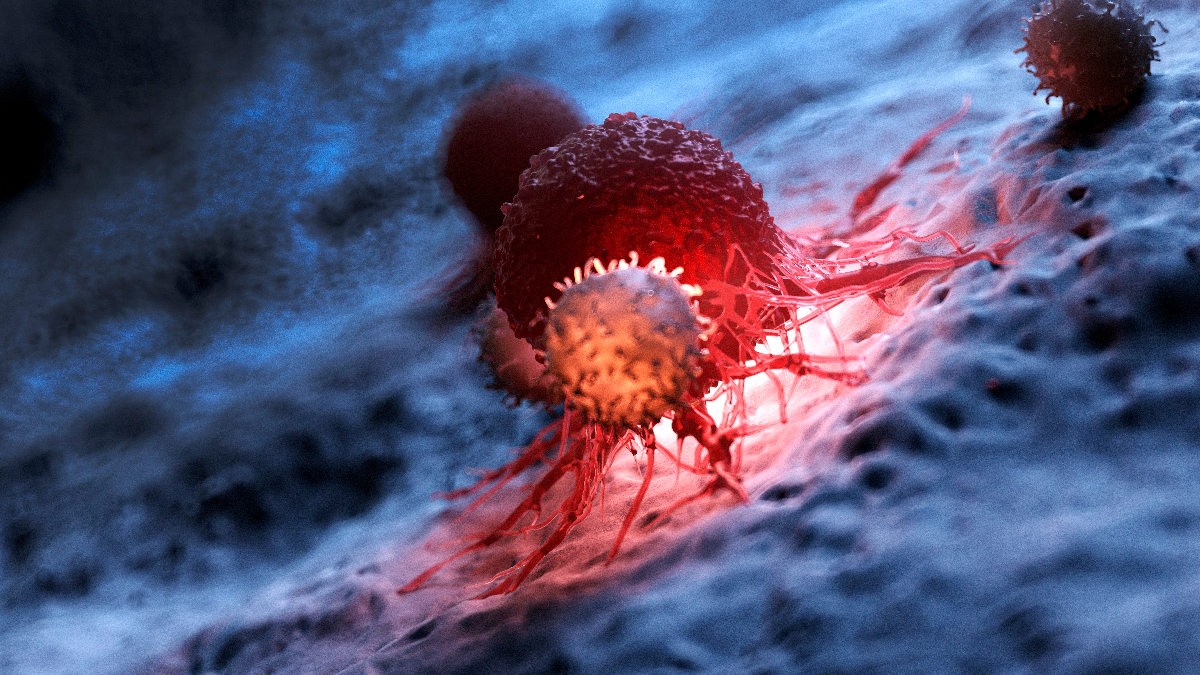 Call for papers: Cancer Immunometabolism