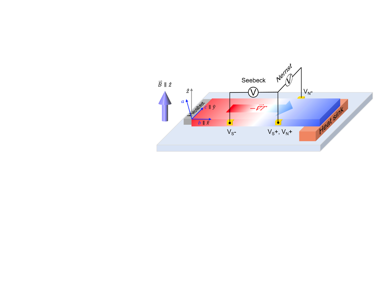 How does Nernst effect probe strange metals?