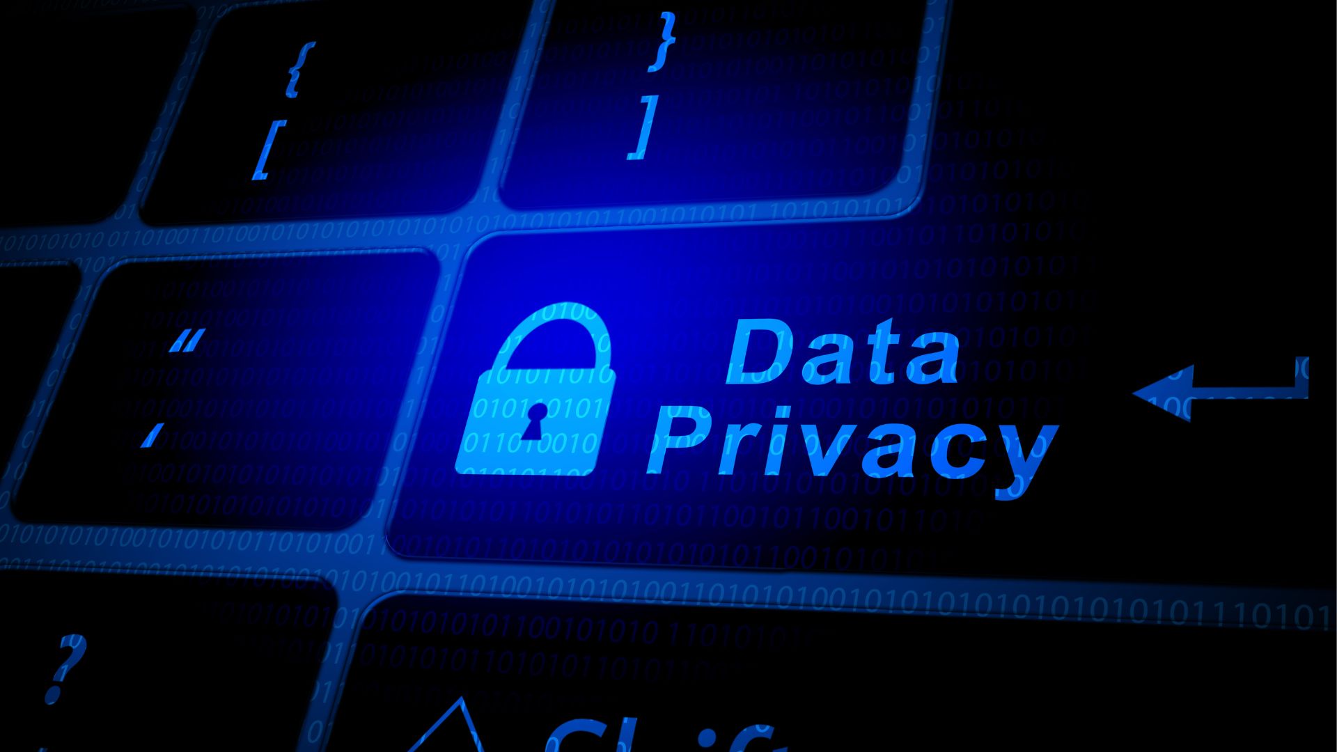 Data Protection and Privacy 