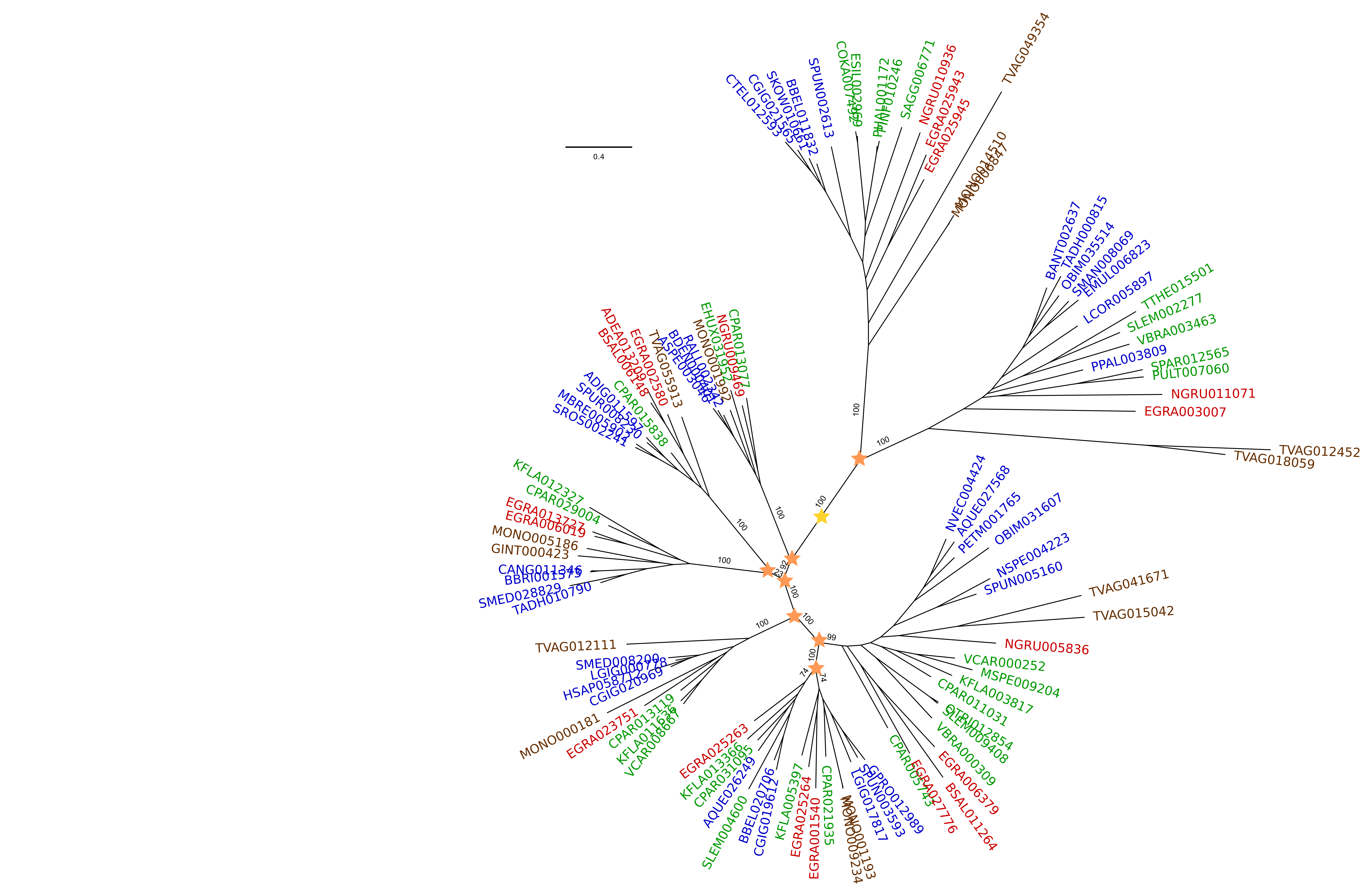 Understanding the origin of the eukaryotic cell: gene duplications to the rescue