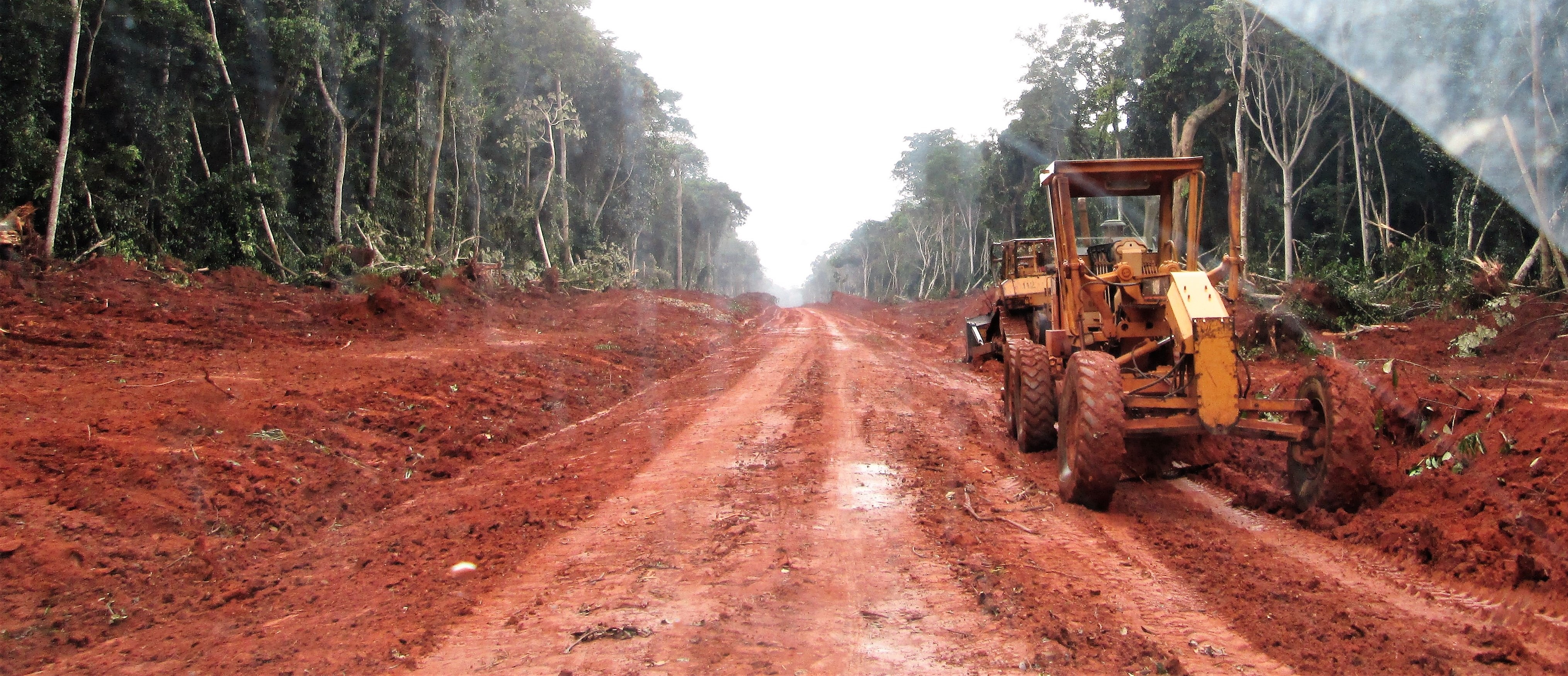 Roads built into Congo rainforests and their contrasting impacts