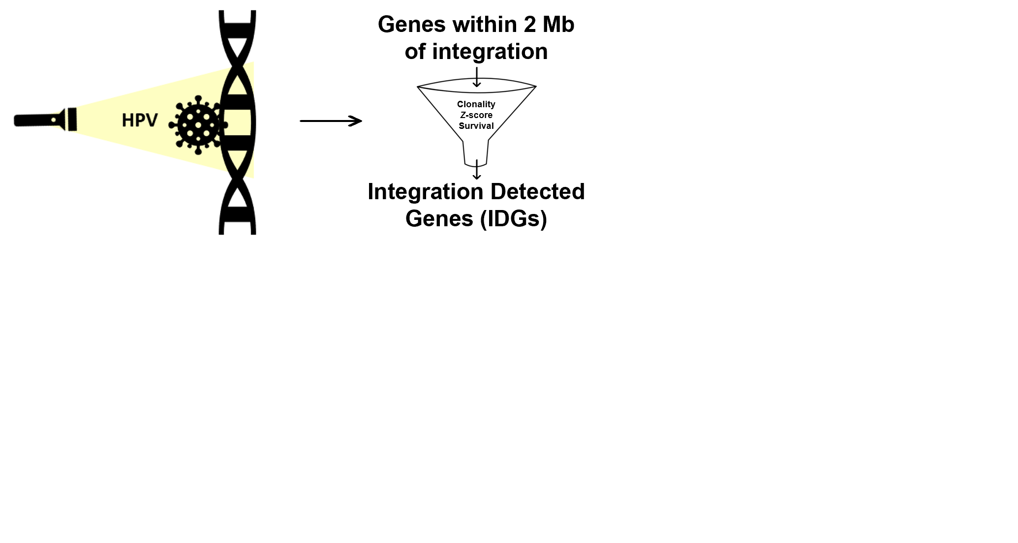 Integration Detected Genes:  Using sites of HPV integration to illuminate novel cervical cancer target genes