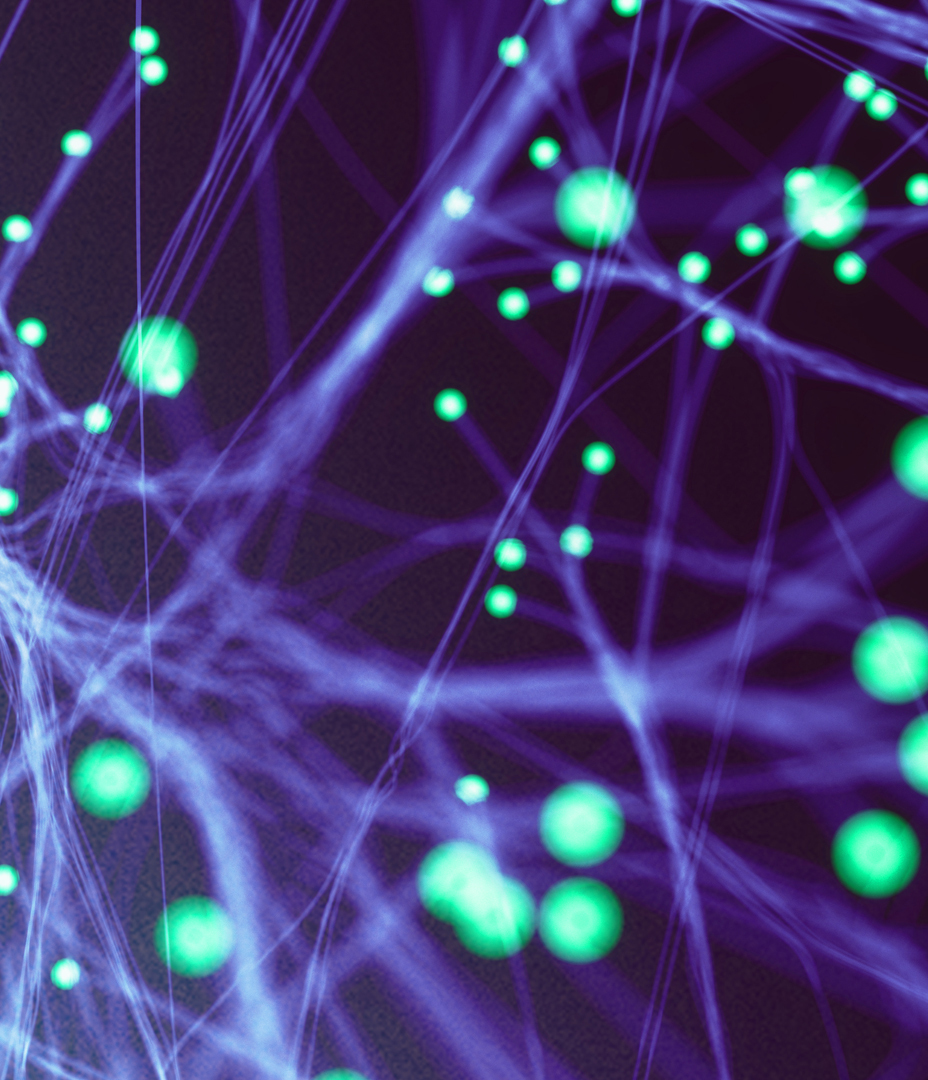 Beyond Labels: Diving Deep into the Complexity of Single Cell Morphology