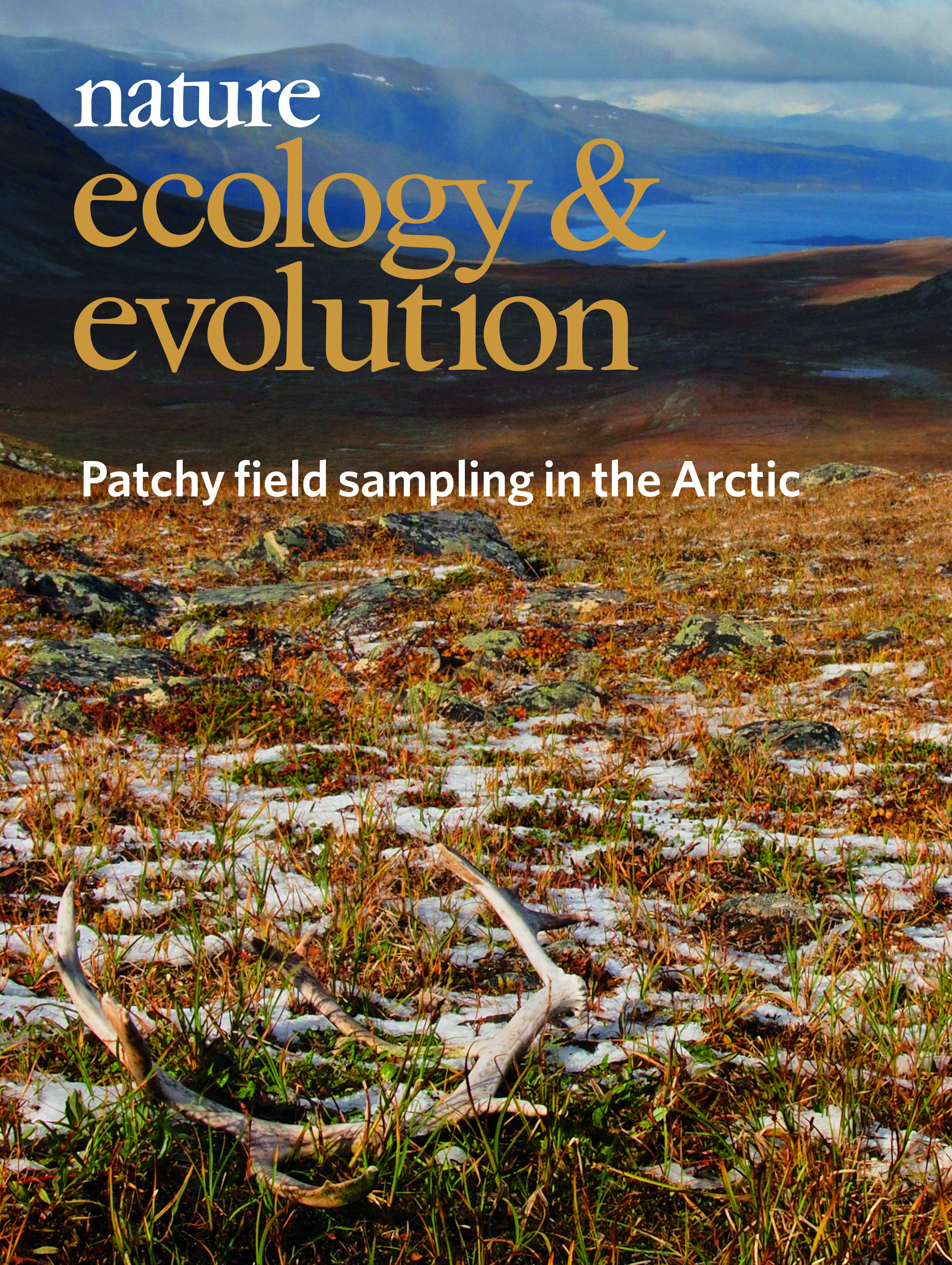 Gallery | September 2018 cover