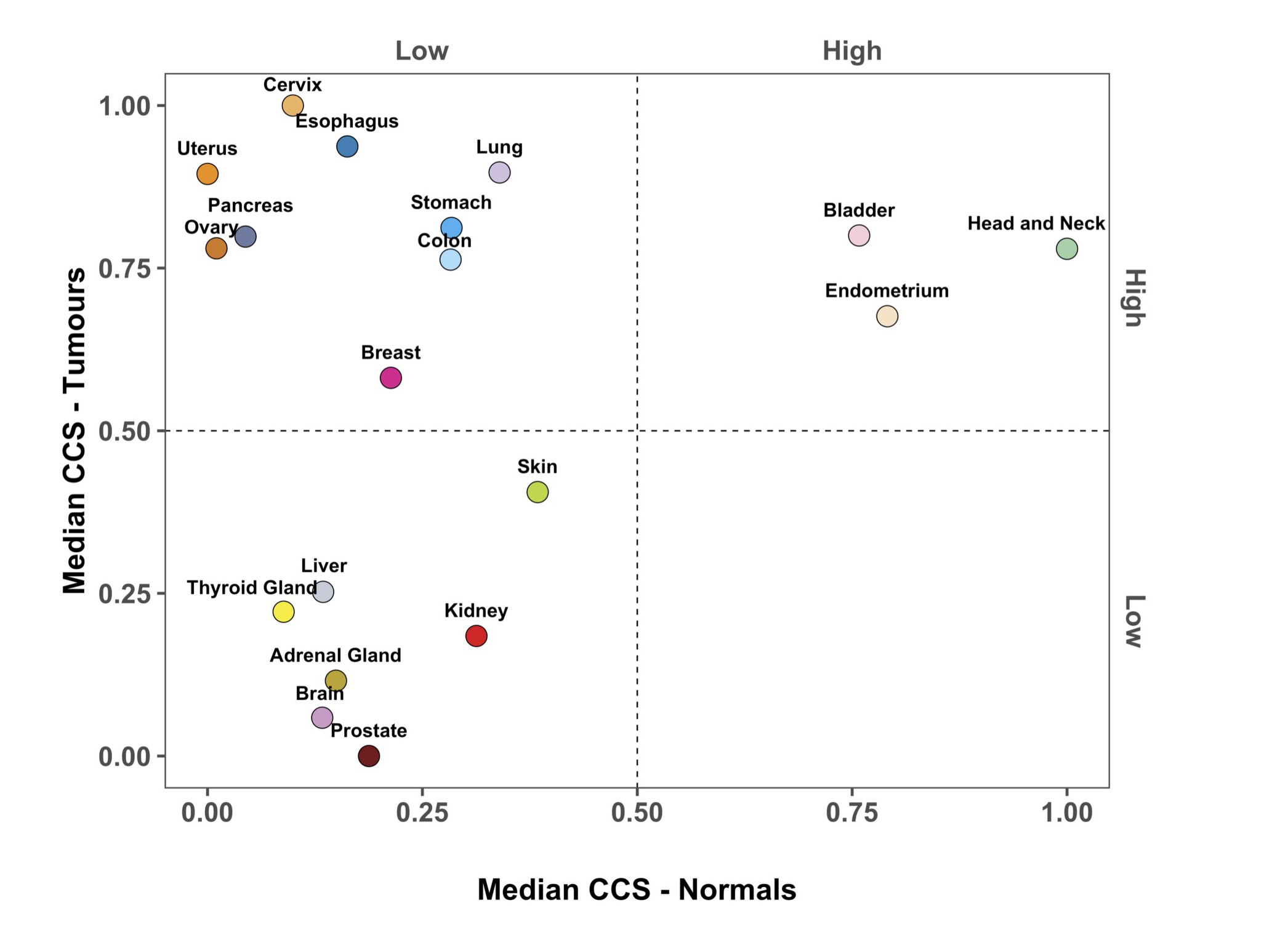 Reclassifying tumour cell cycle activity in terms of its tissue of origin