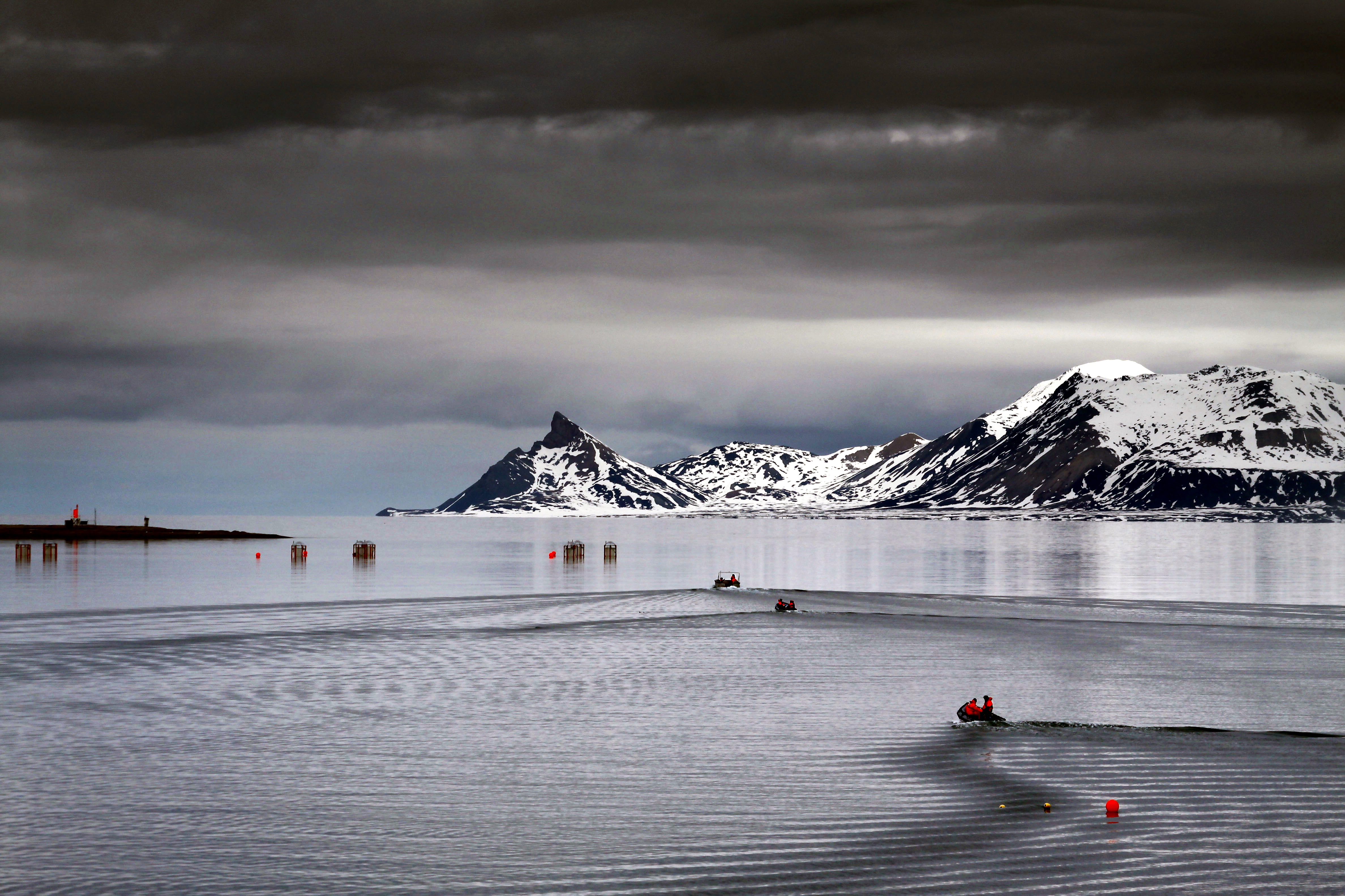 Ocean acidification, plankton, and the biological carbon pump