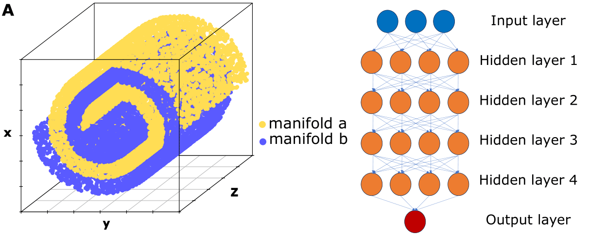 Deep learning as Ricci flow