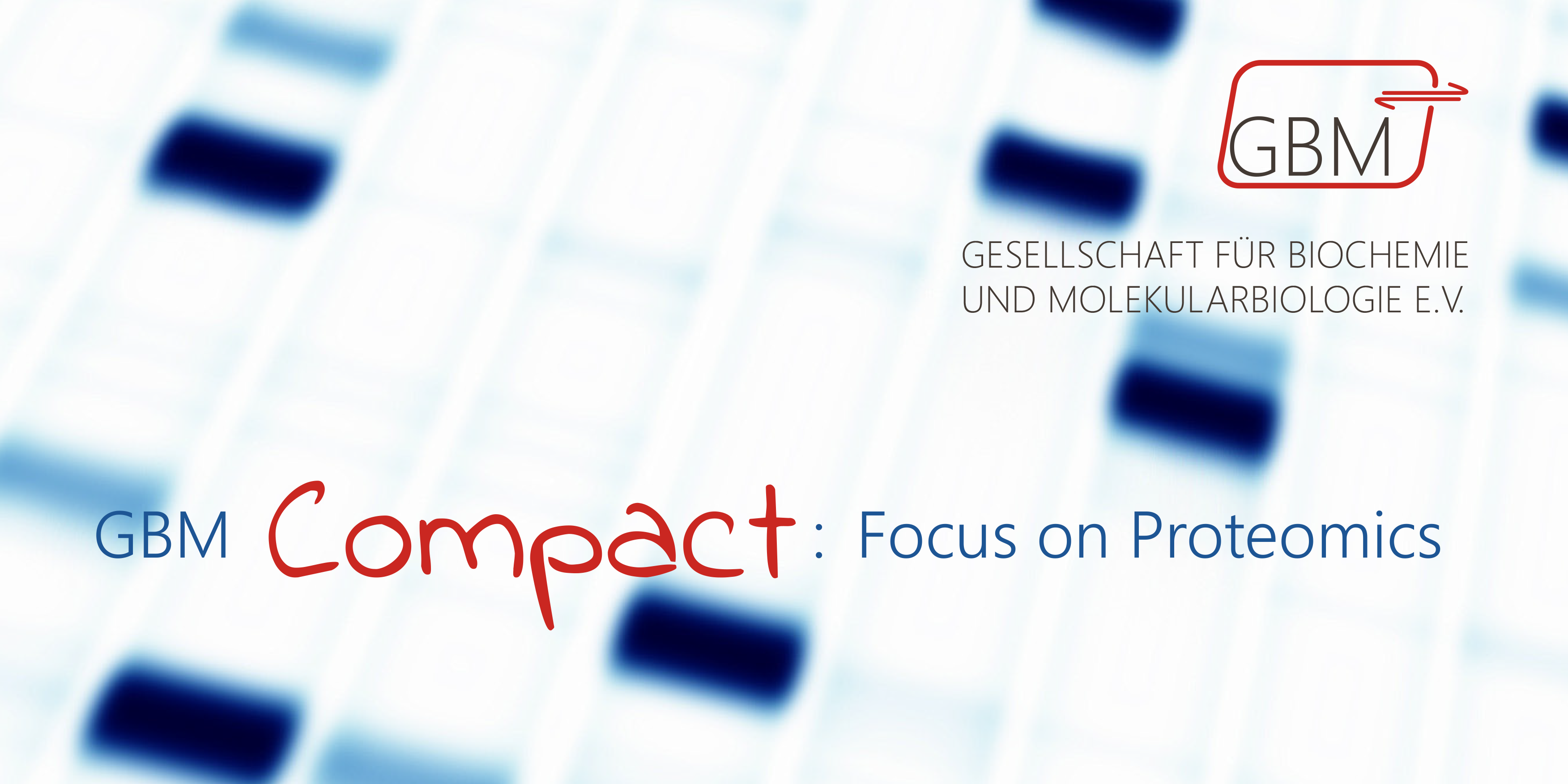 GBM Compact: Focus on Proteomics