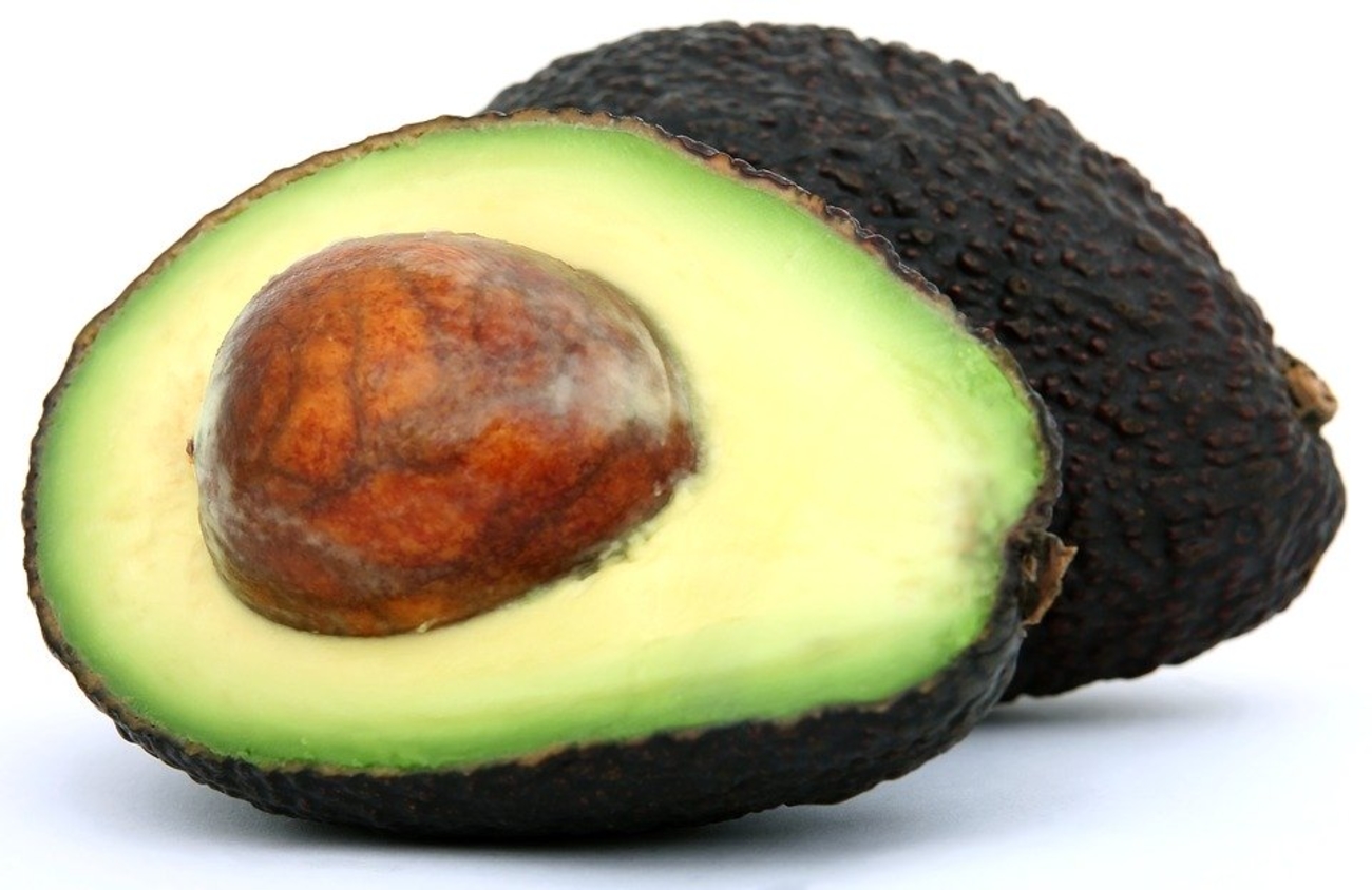 De novo transcriptome assembly and annotation for gene discovery in avocado, macadamia and mango