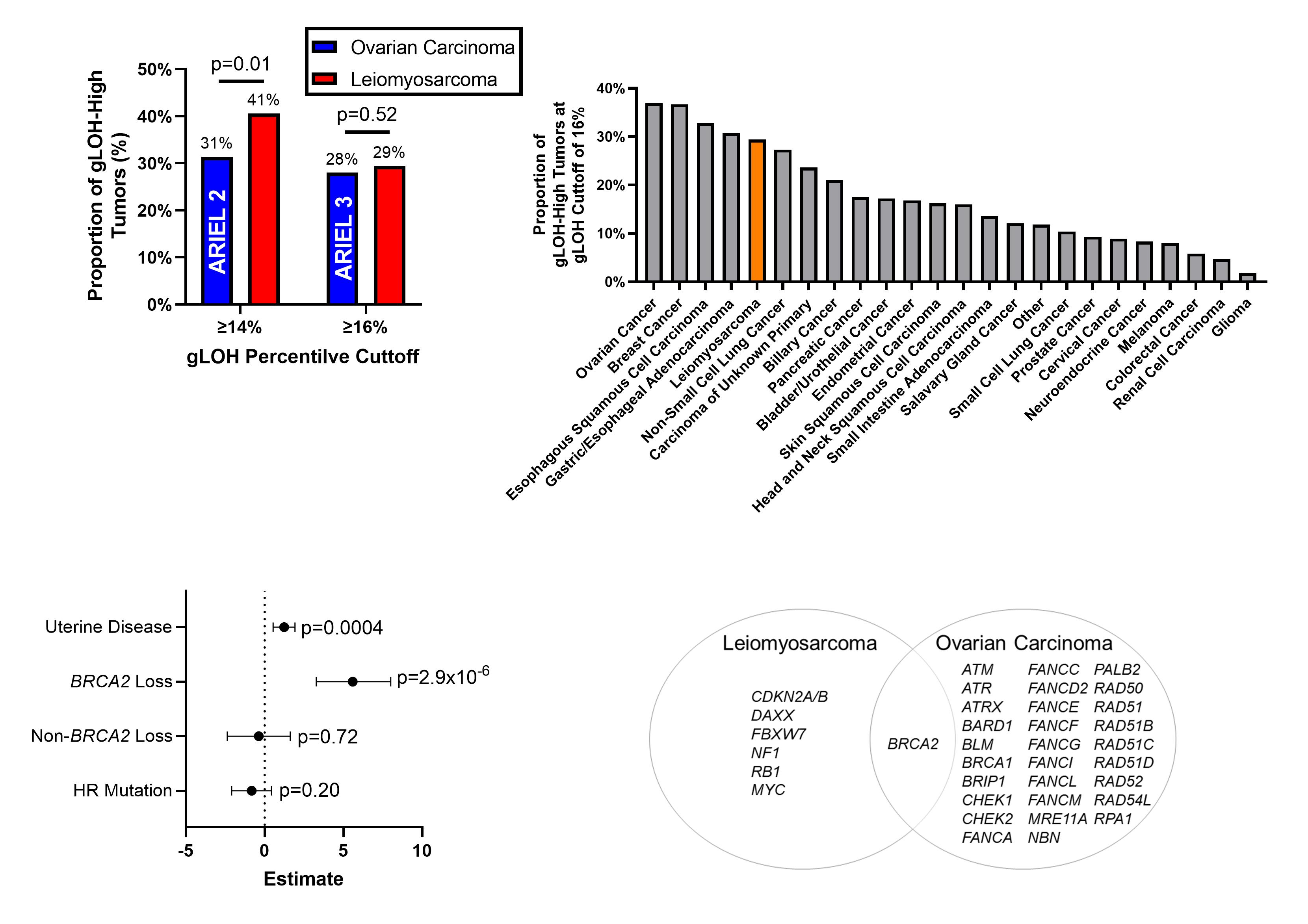 Drivers of genomic loss of heterozygosity in leiomyosarcoma are distinct from carcinomas