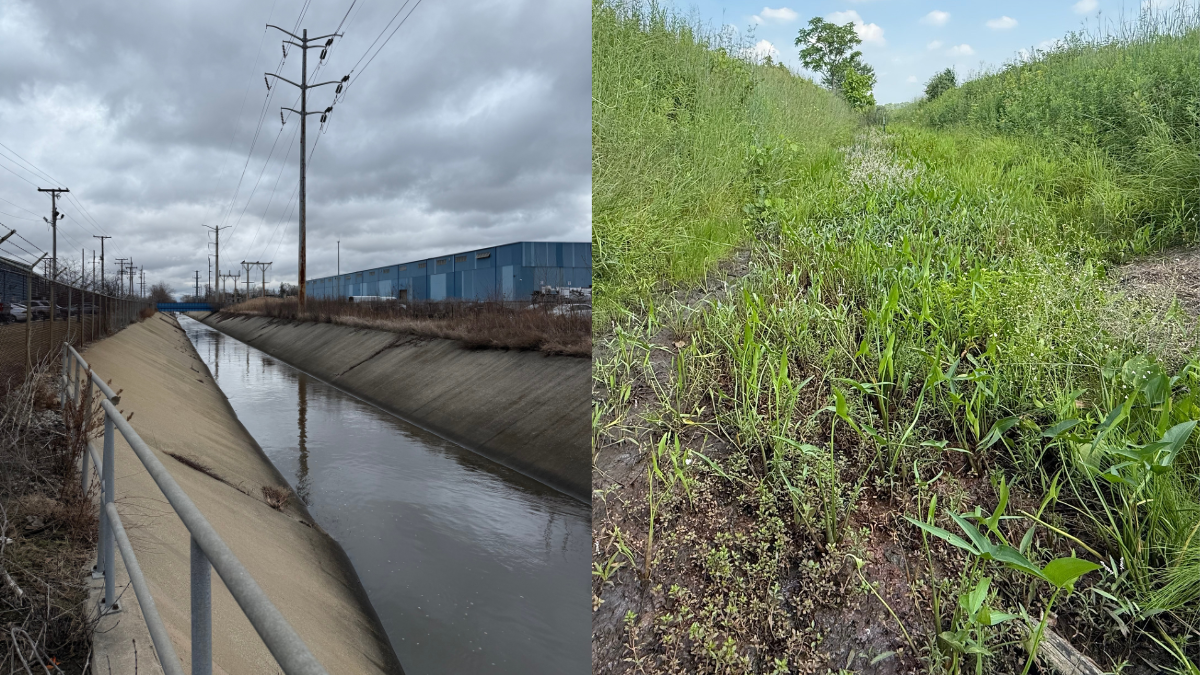 Subsurface conditions and hydrologic accumulation drive stream connectivity and flow intermittency in urban river networks