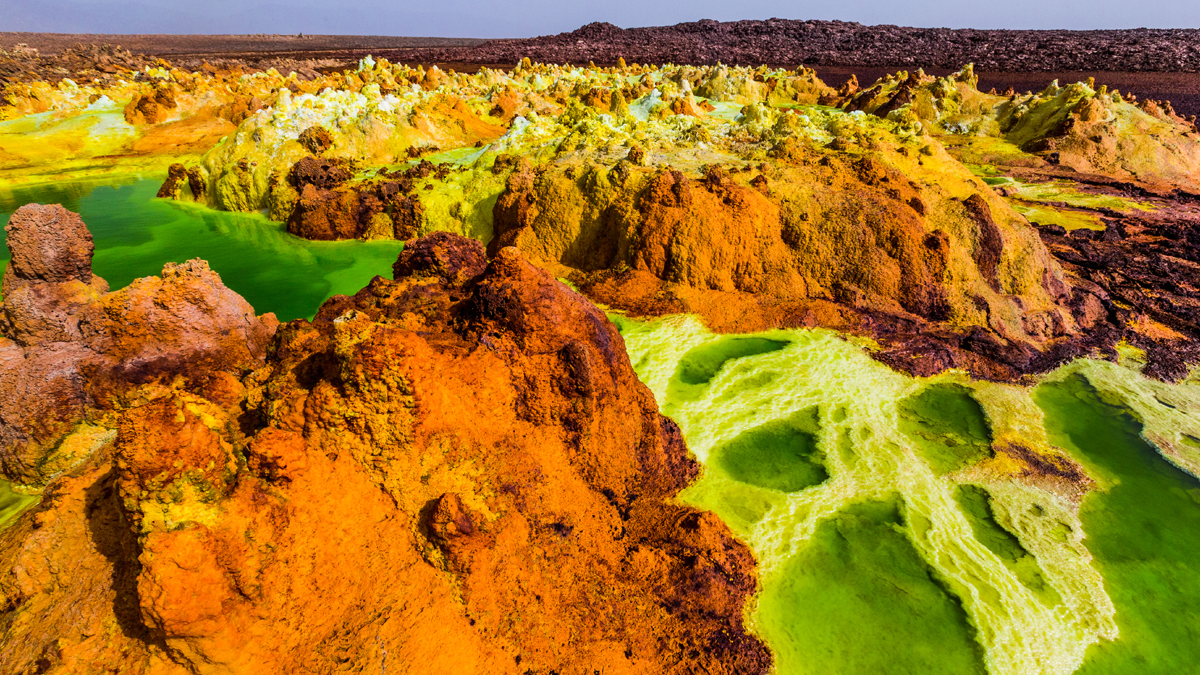 Editor’s choice collection: extremophiles