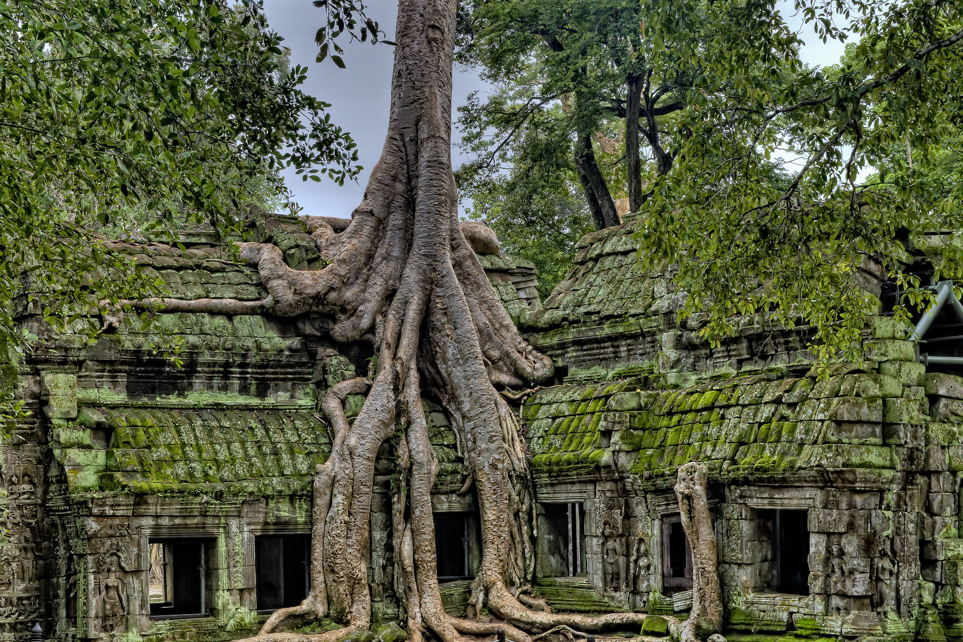 Book Review: Lessons From the Rise and Fall of Ancient Cities