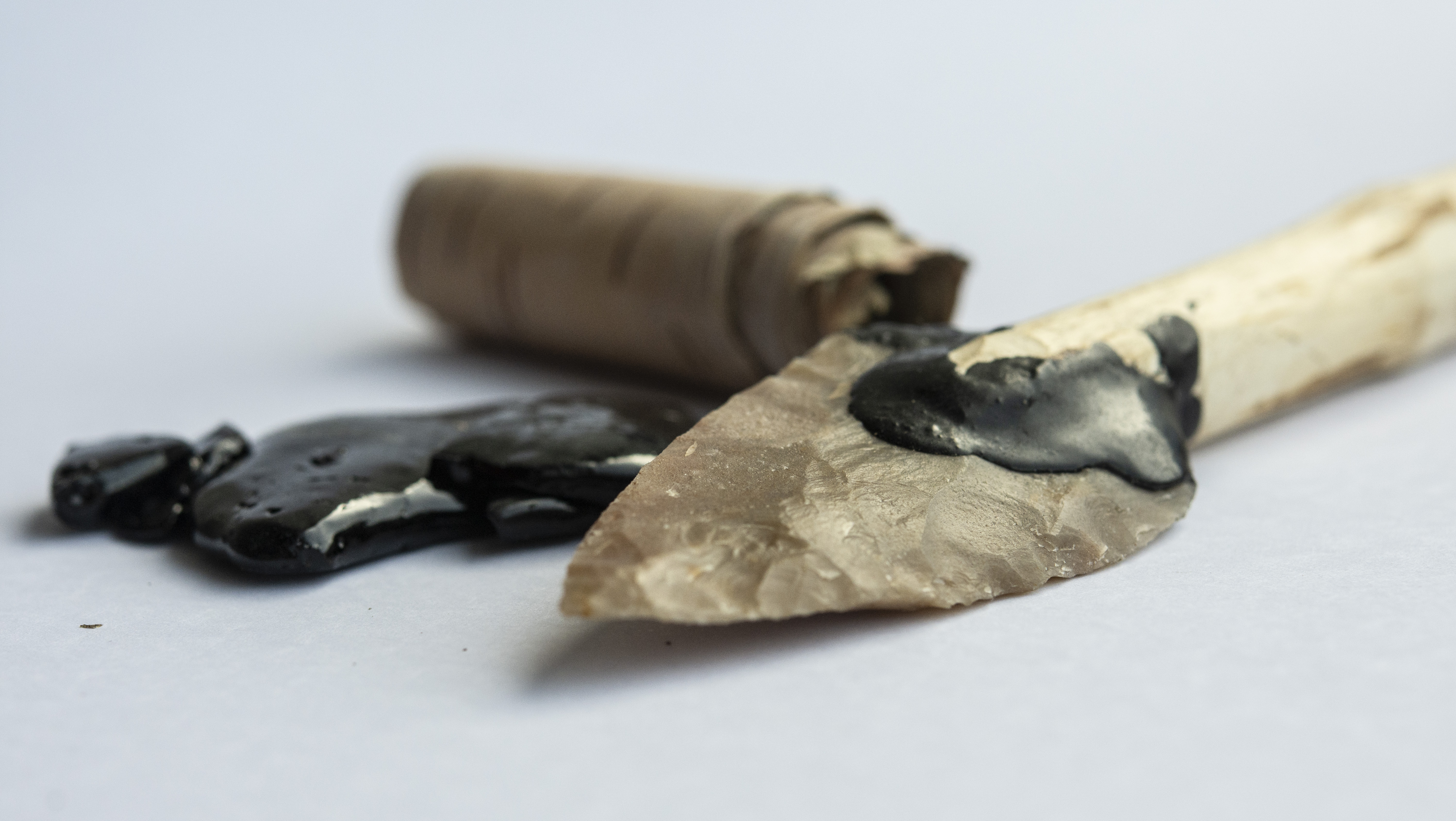 A biomolecular approach to Neanderthal technology