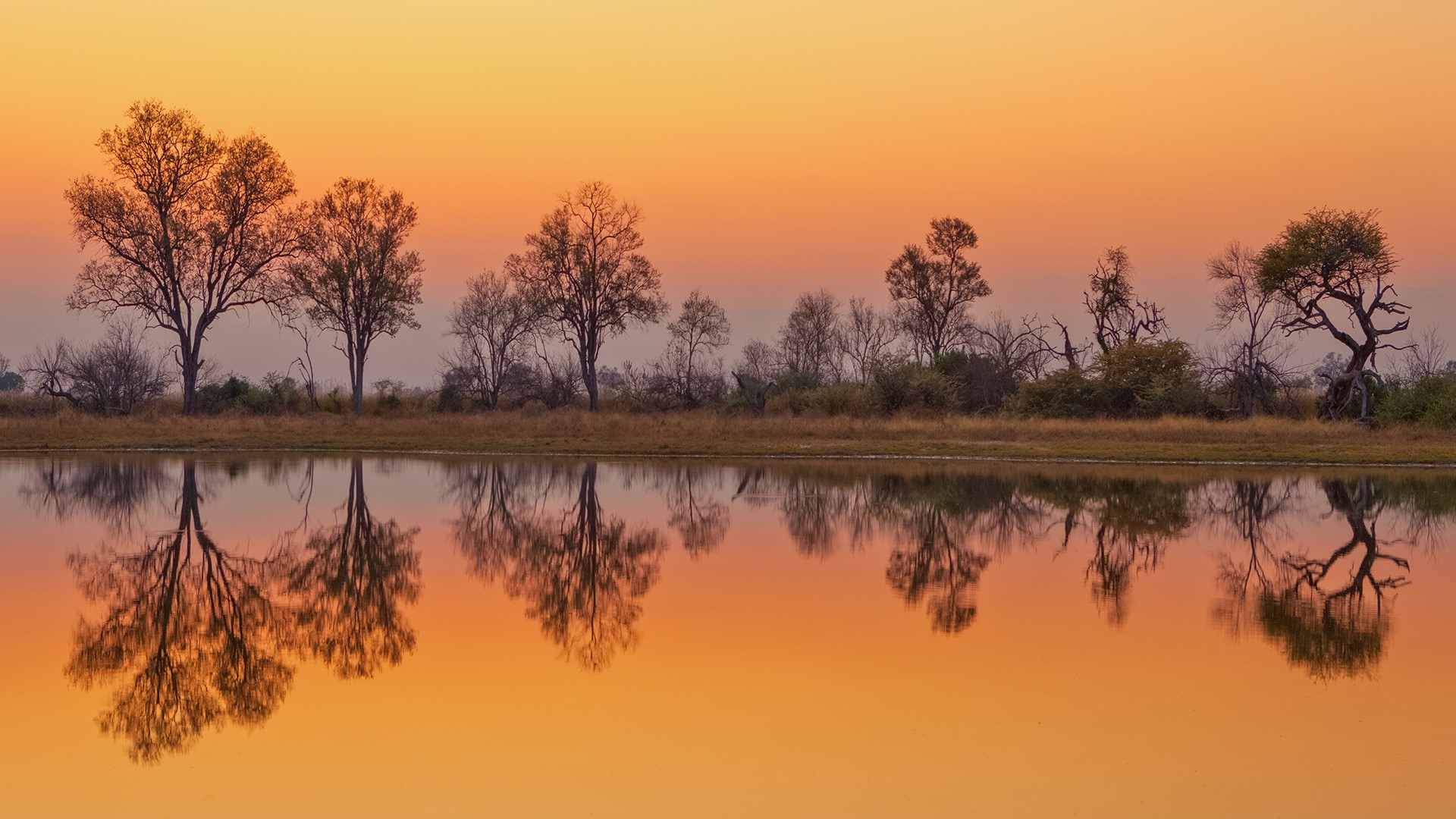The Storyteller’s Shift: Using Narrative to Bridge Conservation and Community
